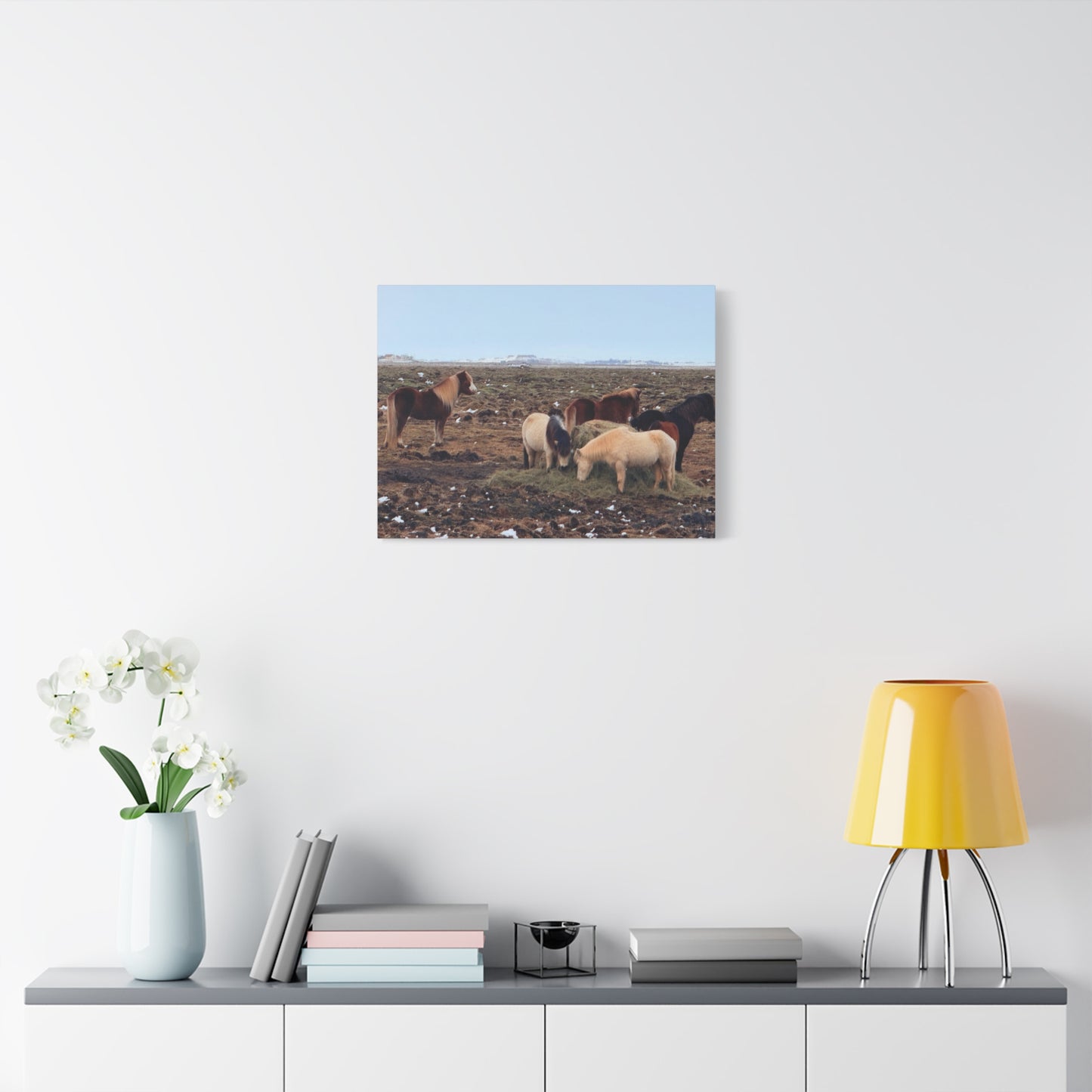 Icelandic Horse Canvas Art - Matte Stretched Print for Animal Lovers