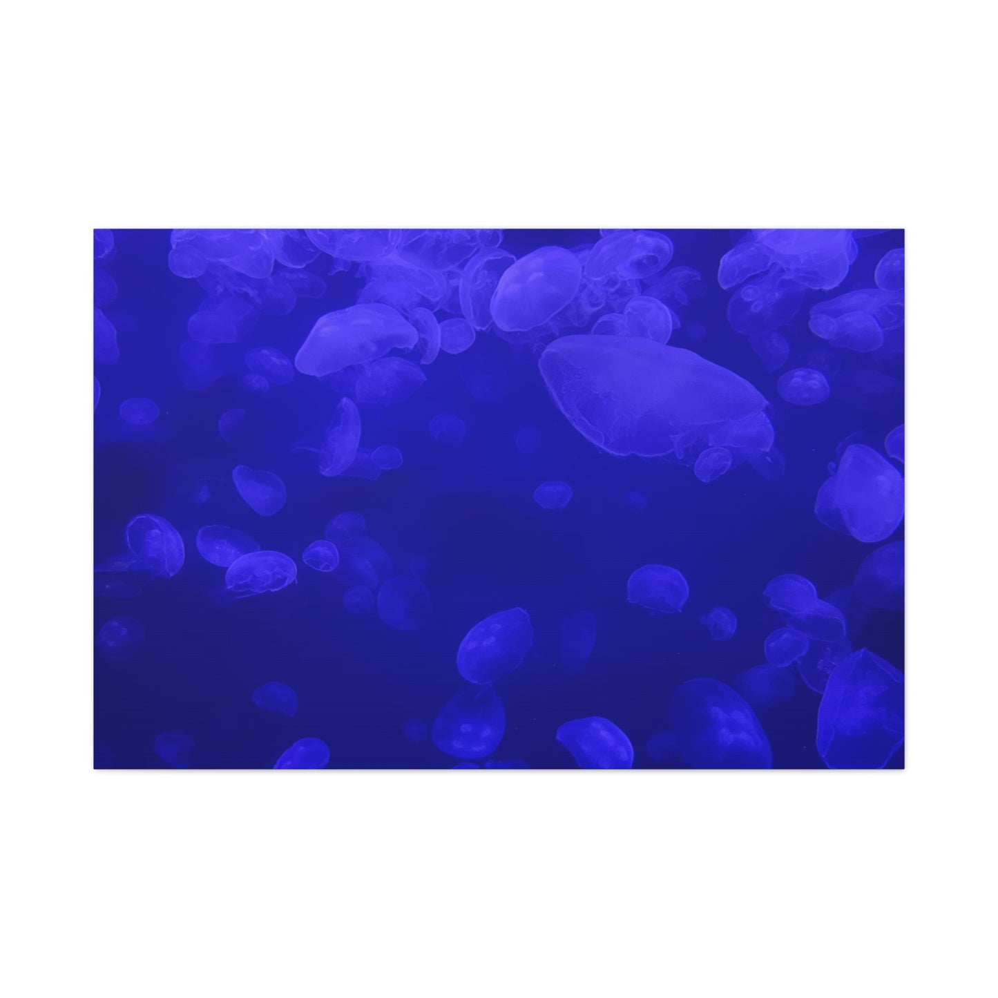 Jellyfish Watercolor Canvas Art - Ocean Theme Wall Decor