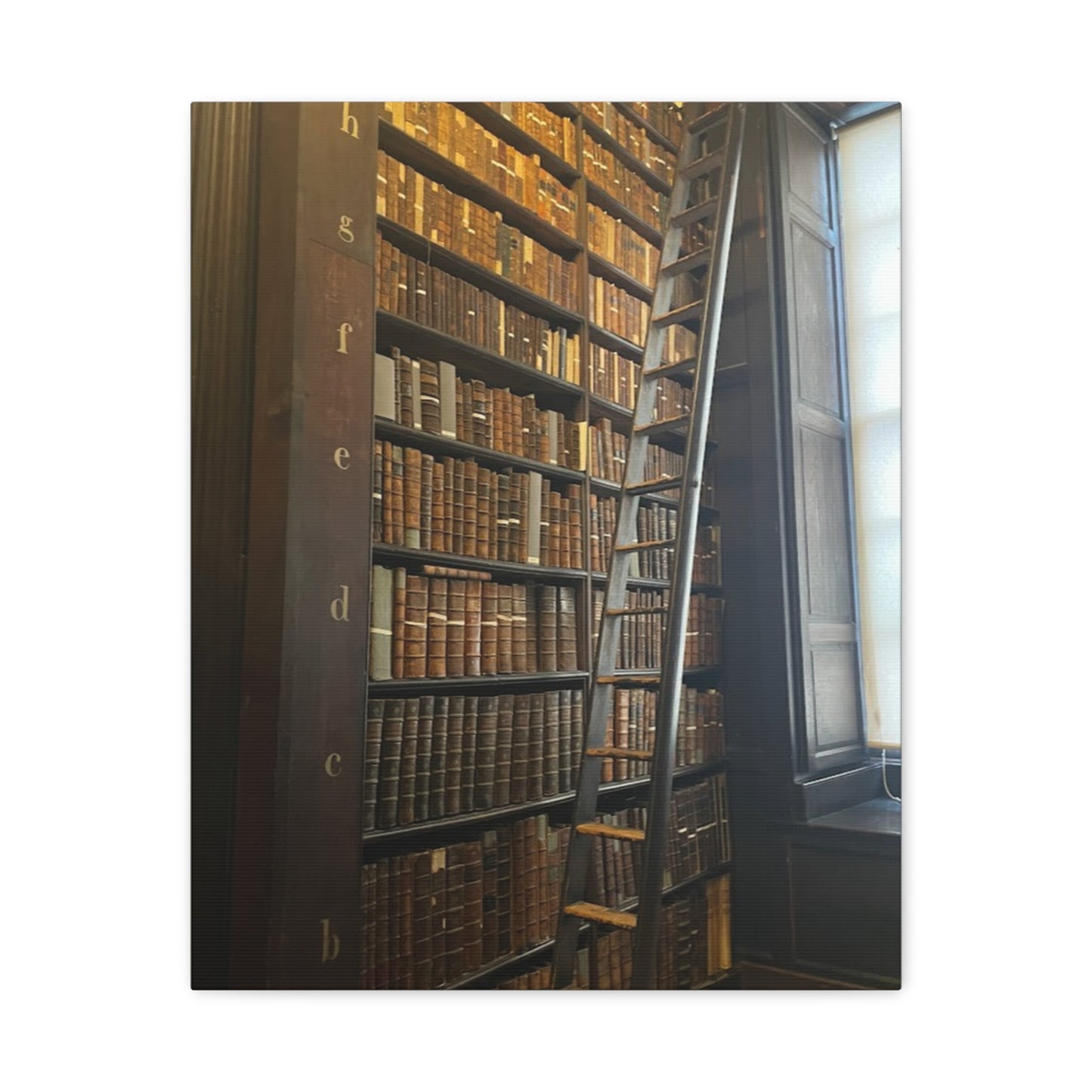 Library Wall Art | Vintage Bookcase Canvas Print - Trinity College Long Room
