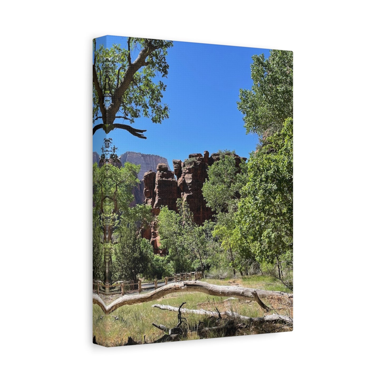 Stretched Canvas Art - Scenic Nature Landscape