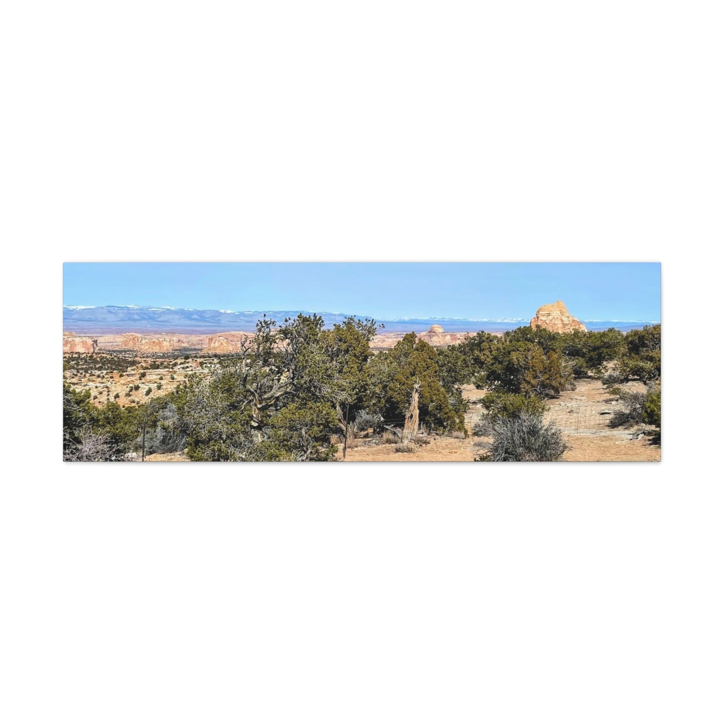 Desert Landscape Canvas Wall Art – 1.25" Matte Stretched Decor for Nature Lovers