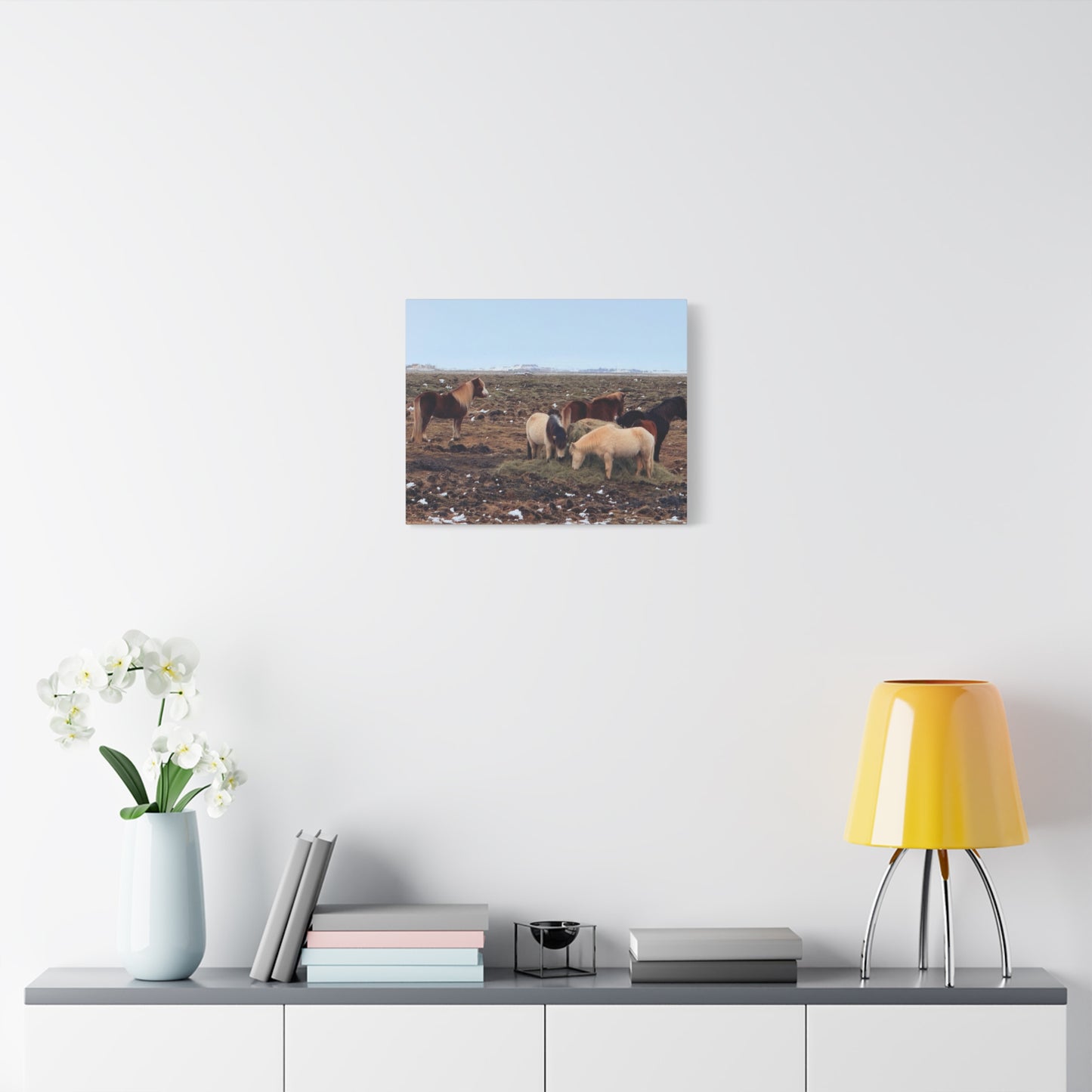 Icelandic Horse Canvas Art - Matte Stretched Print for Animal Lovers