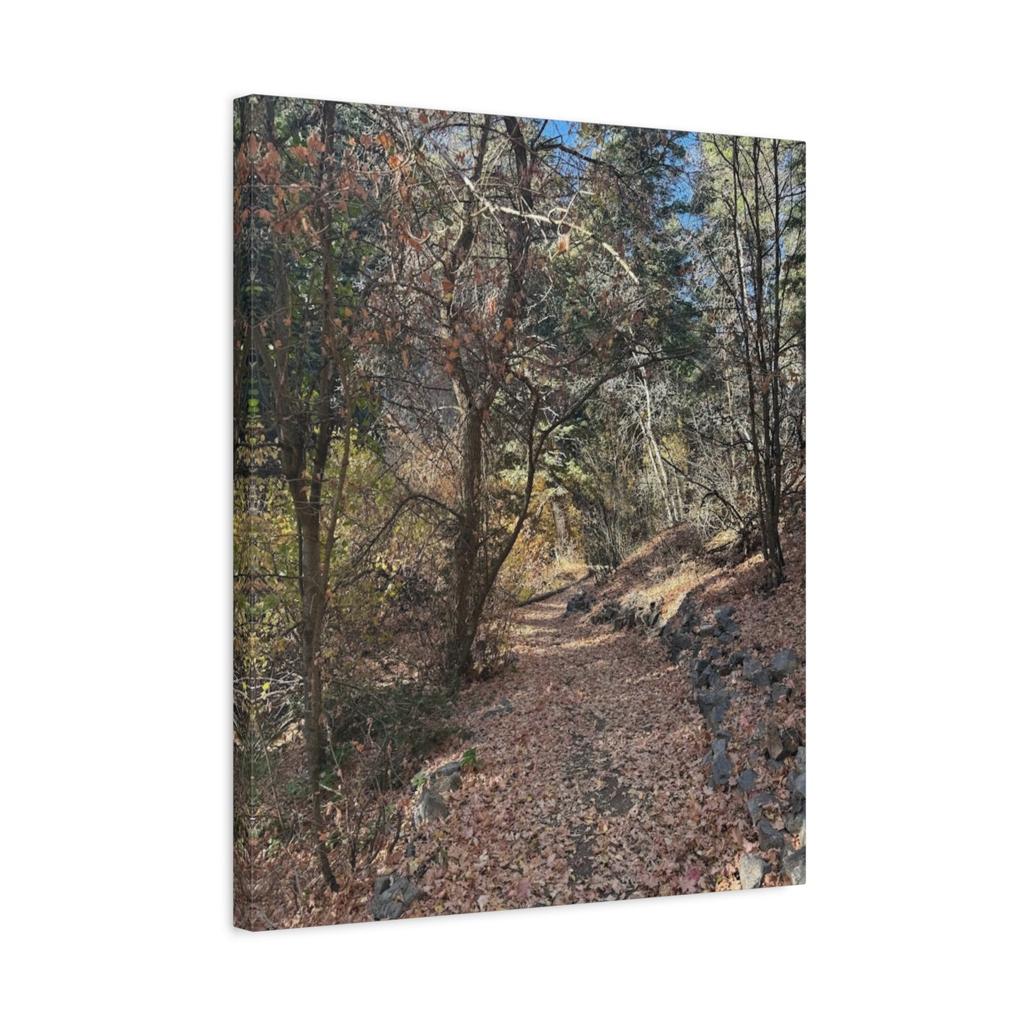 Nature-Inspired Matte Canvas Art - Stretched Wall Decor