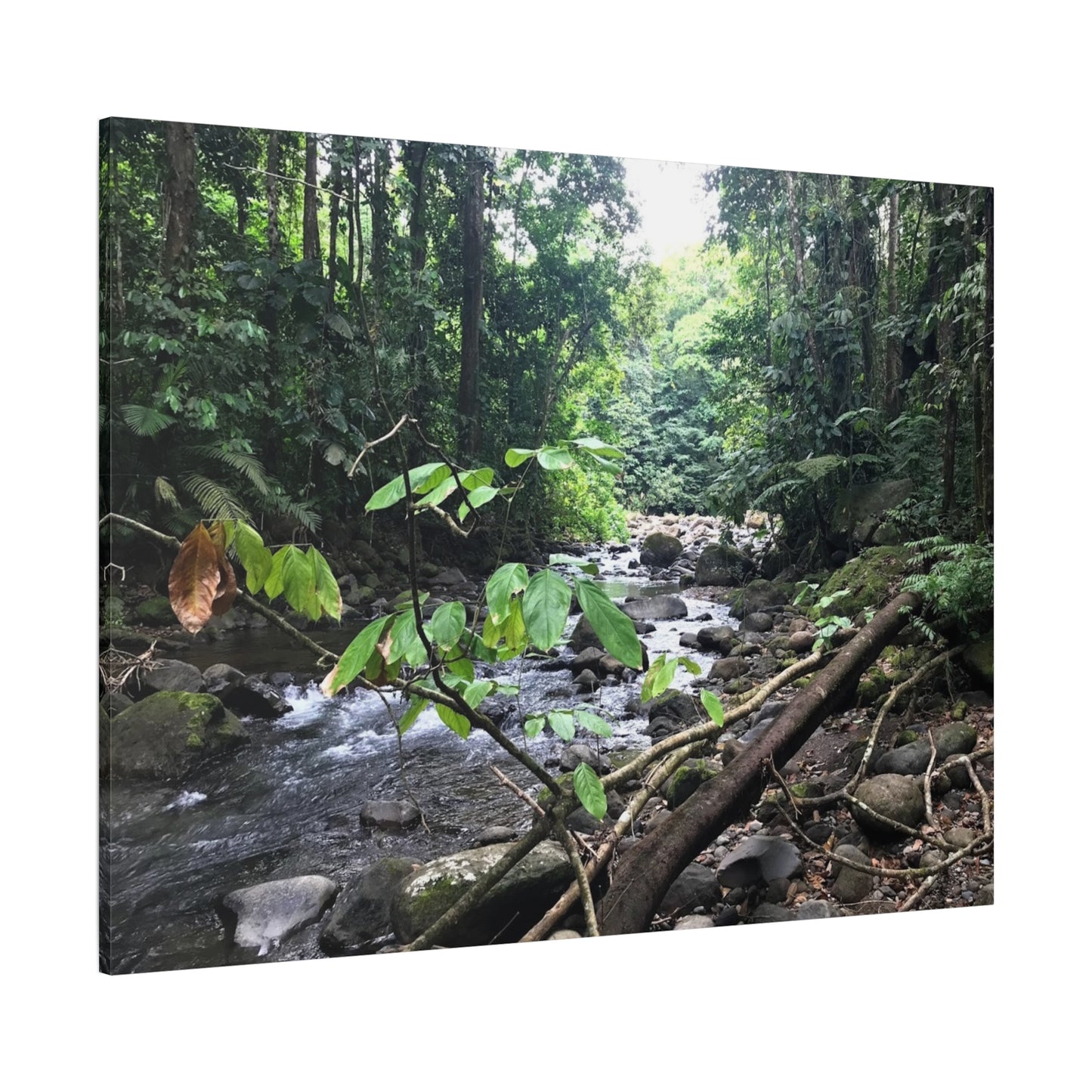 Nature-Inspired Matte Canvas Wall Art - Serene River Scene