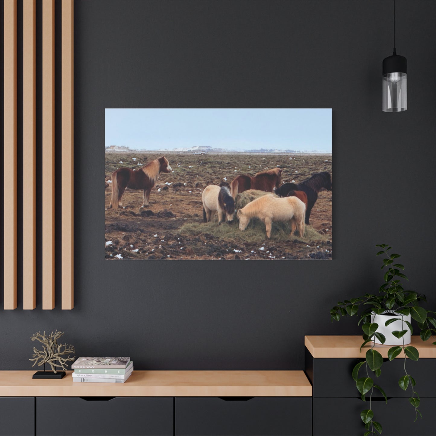 Icelandic Horse Canvas Art - Matte Stretched Print for Animal Lovers