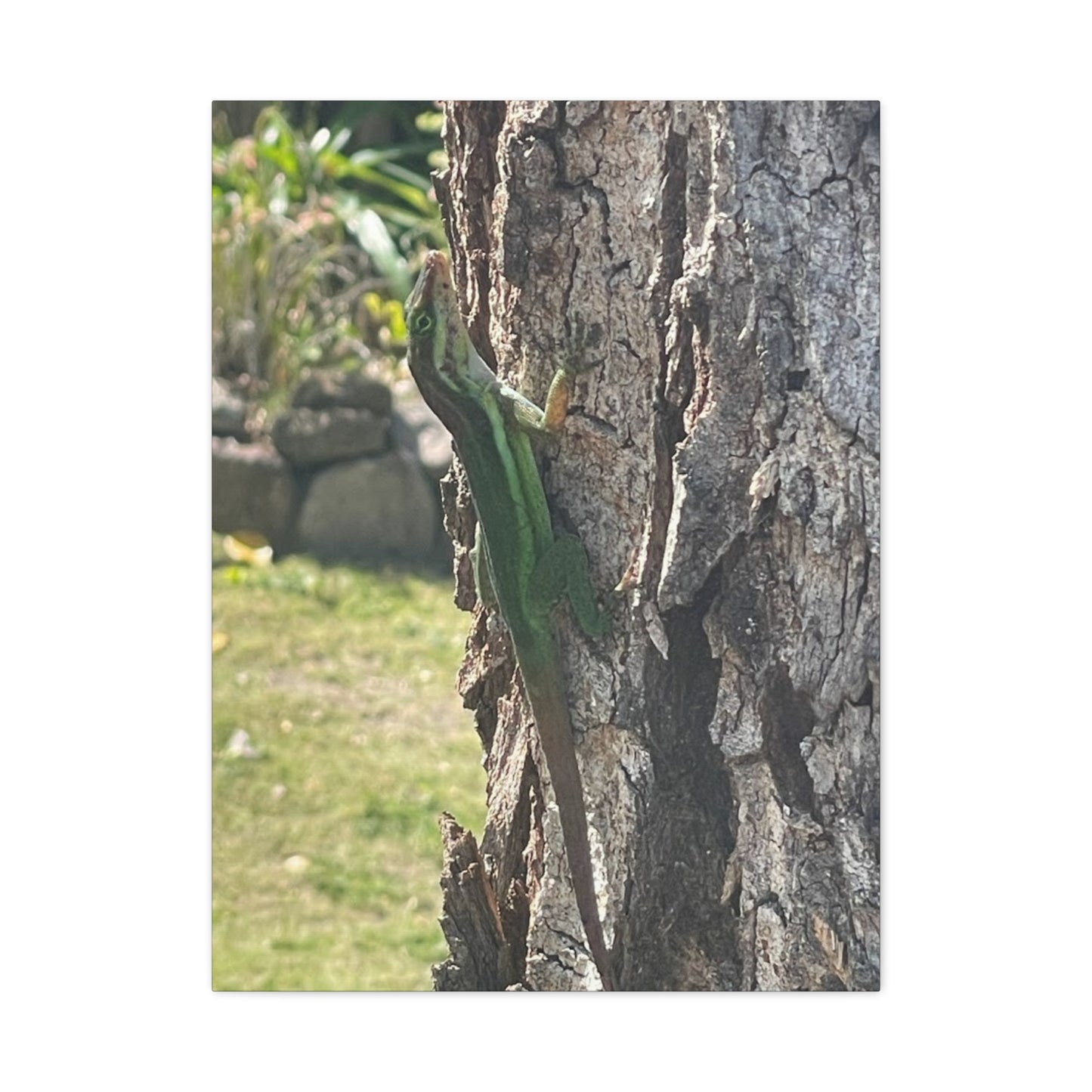 Nature-Inspired Stretched Canvas Art featuring Green Lizard on Tree