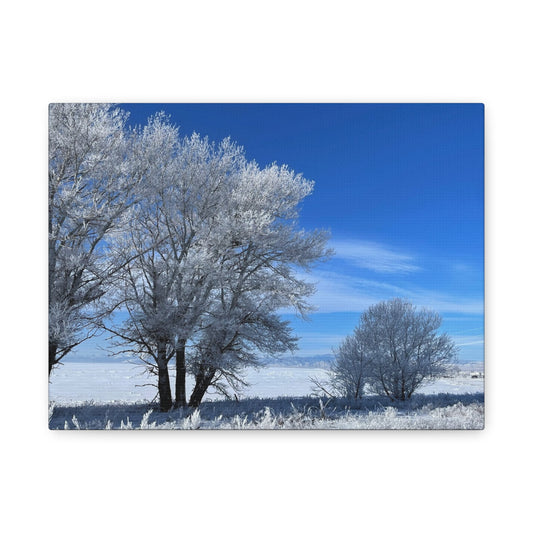 Winter Wonderland Canvas Art