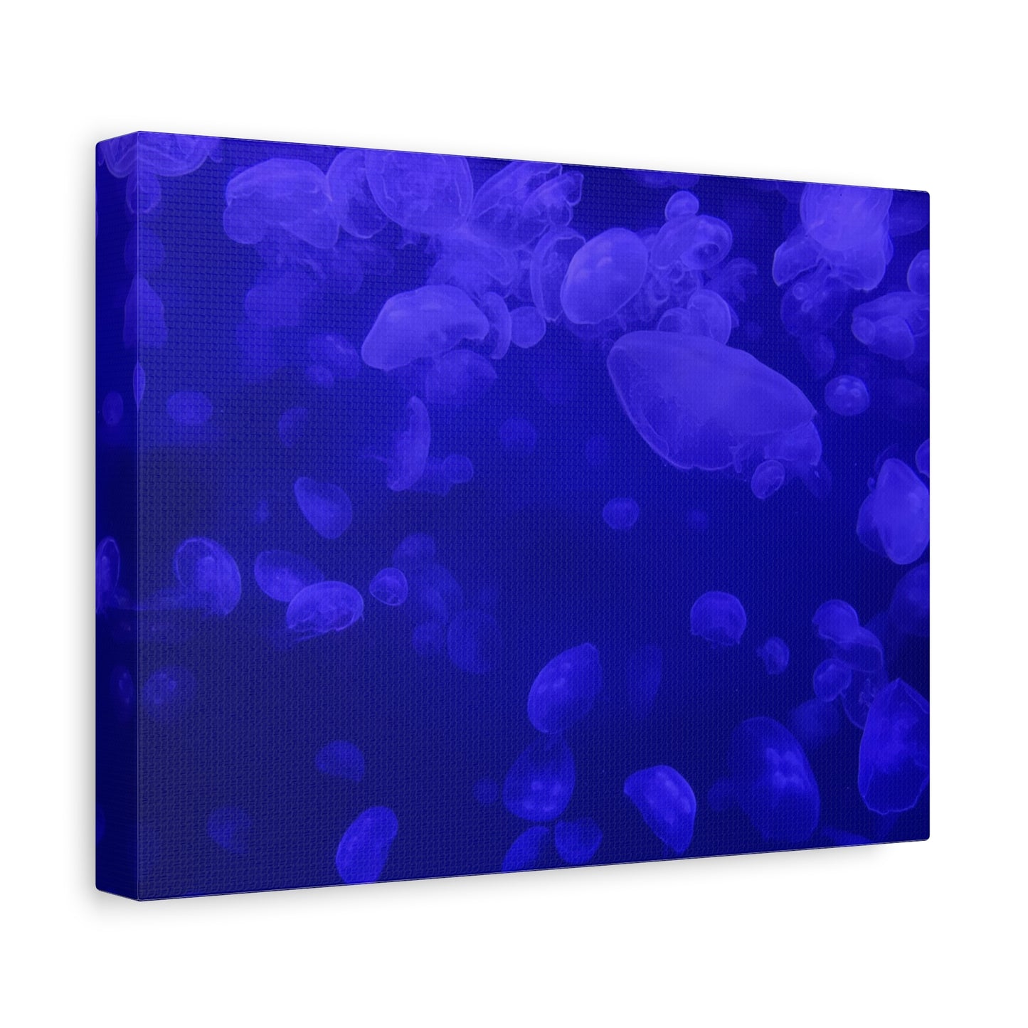 Jellyfish Watercolor Canvas Art - Ocean Theme Wall Decor