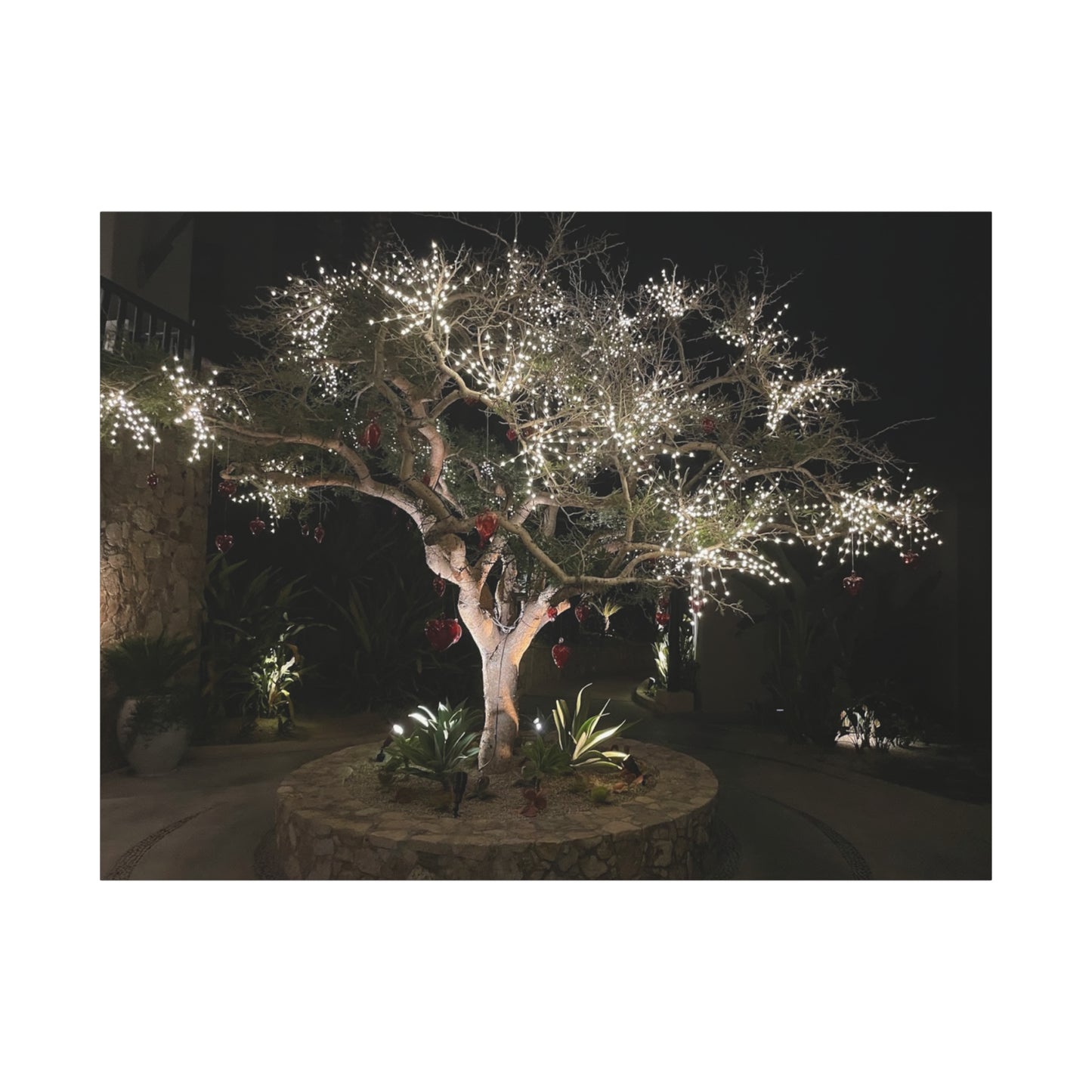 Holiday Canvas Art: Illuminated Tree Wall Decor