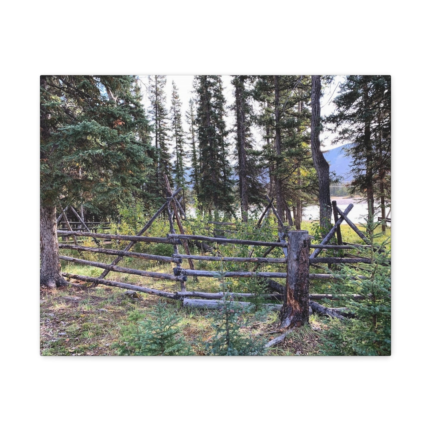 Nature-Inspired Wall Art Canvas Print - Tranquil Forest Scene