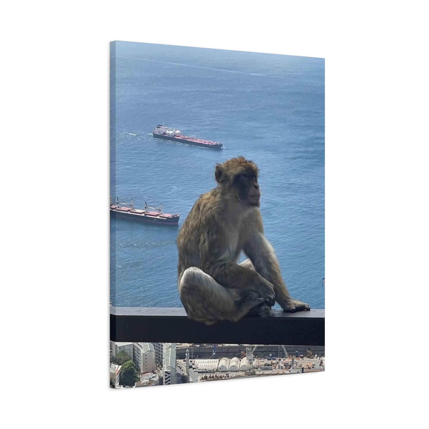 Monkeys by the Sea Canvas Art Print - Relaxing Coastal Decor Gibraltar