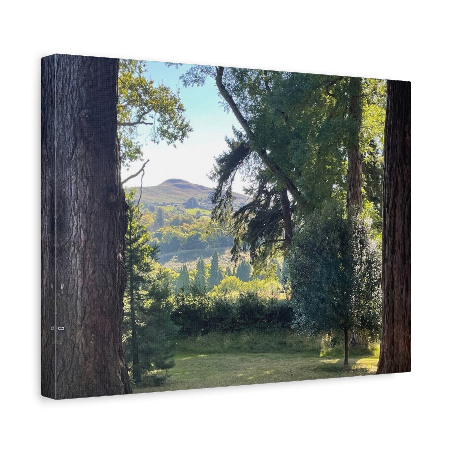 Nature-Inspired Matte Canvas Wall Art - Scenic Landscape Decor