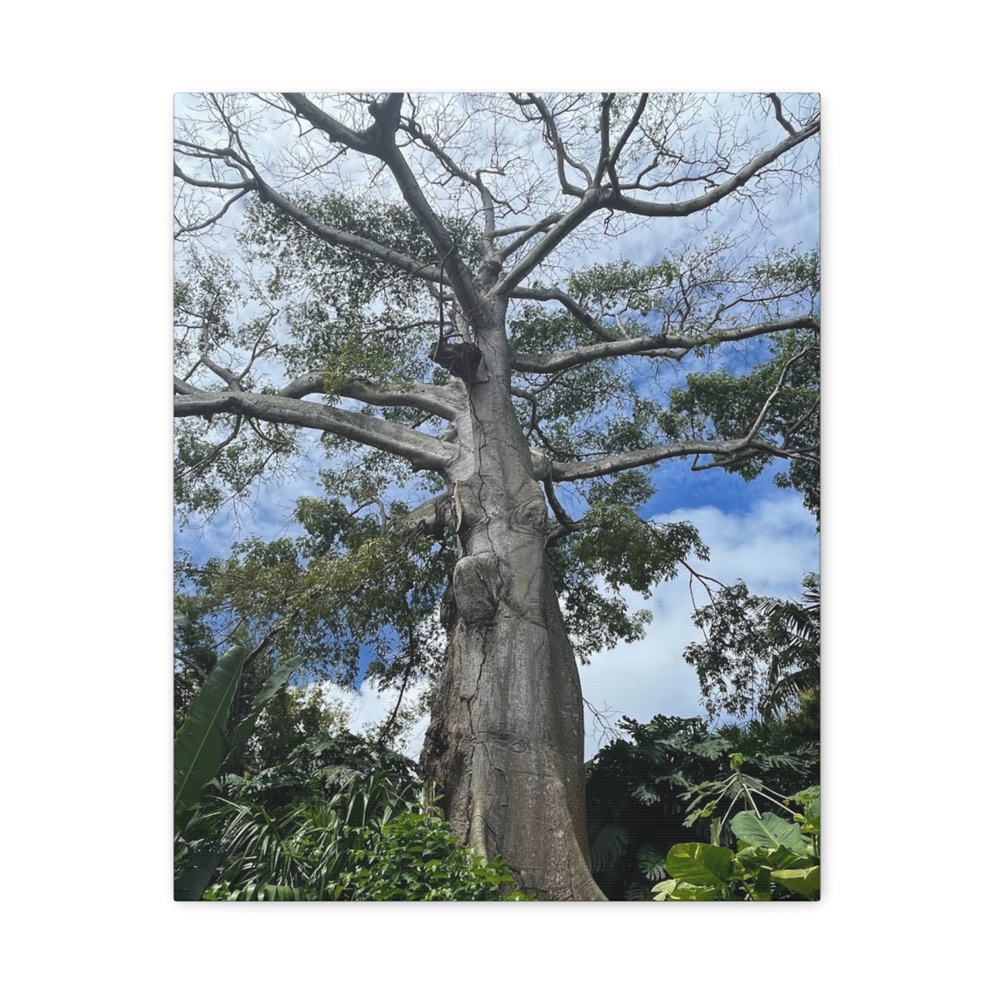 Stretched Canvas Art - Majestic Tree Wall Decor for Nature Lovers