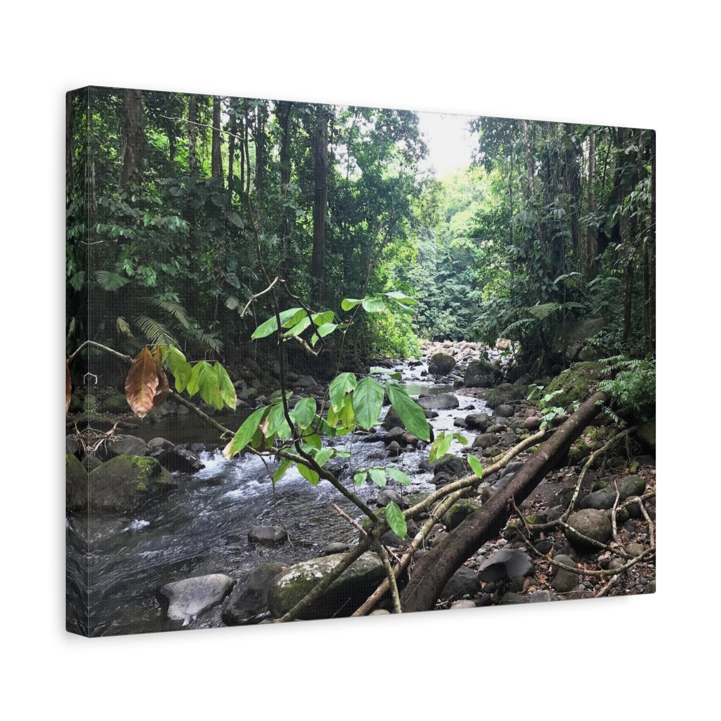 Nature-Inspired Matte Canvas Wall Art - Serene River Scene