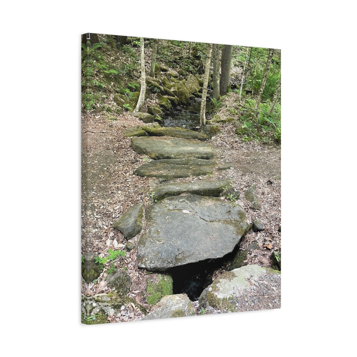 Nature-Inspired Stretched Canvas Art - Serene Stream Pathway Décor