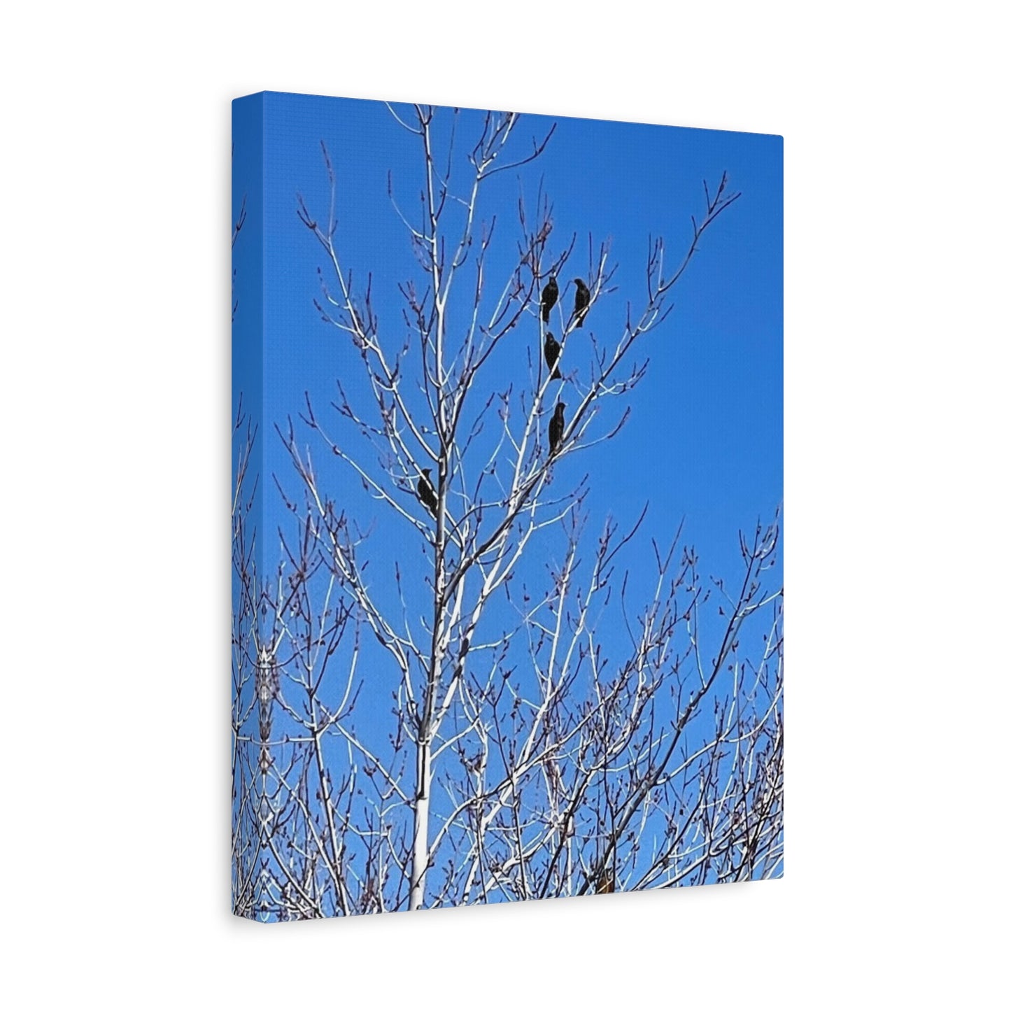 Serene Bird Canvas Wall Art - Tranquil Nature Decor for Home and Office