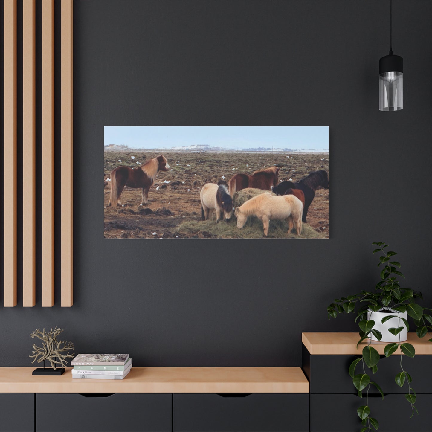 Icelandic Horse Canvas Art - Matte Stretched Print for Animal Lovers