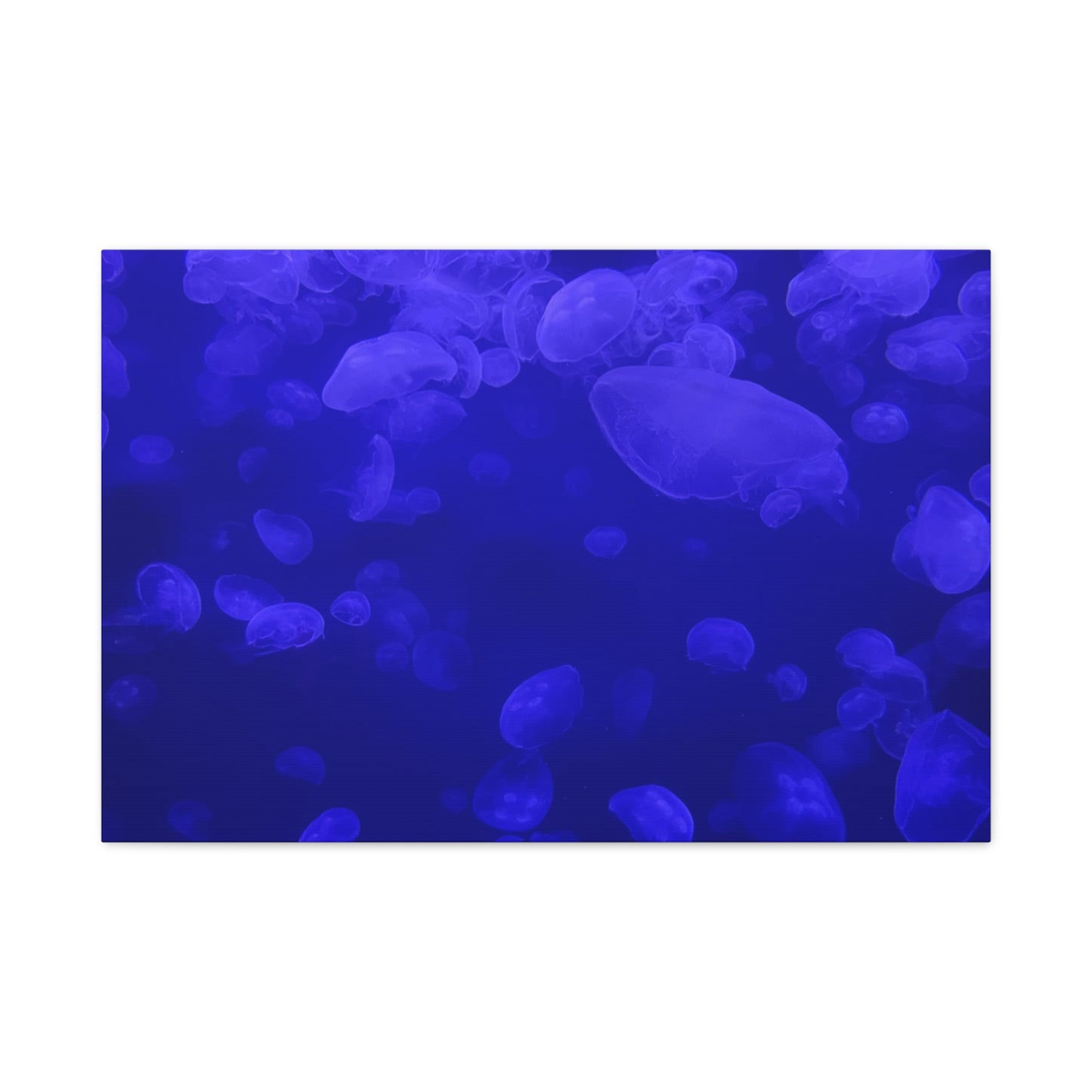 Jellyfish Watercolor Canvas Art - Ocean Theme Wall Decor