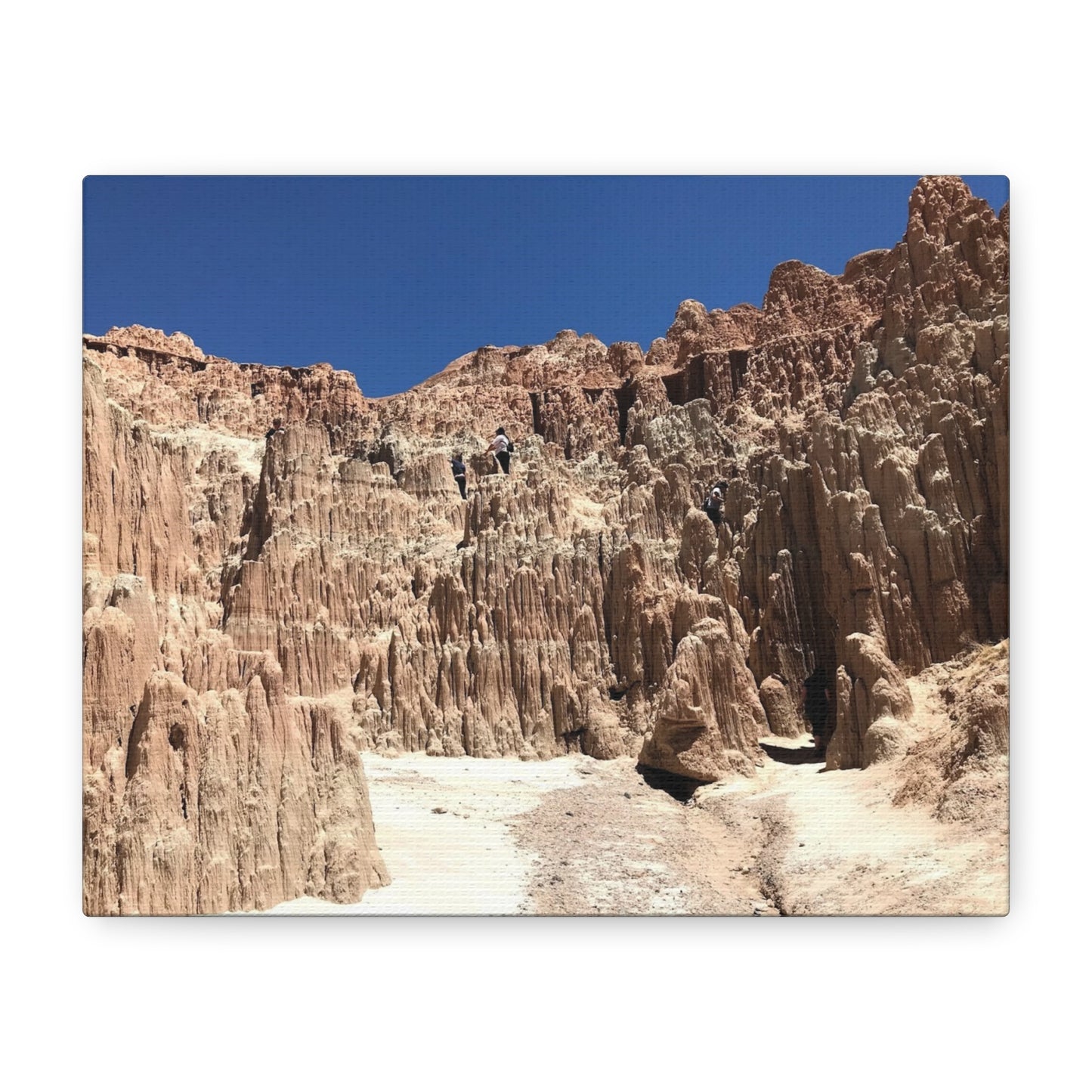 Desert Landscape Canvas Wall Art - Stretched Matte Print