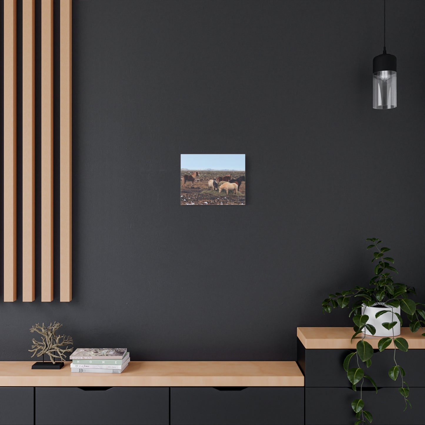 Icelandic Horse Canvas Art - Matte Stretched Print for Animal Lovers