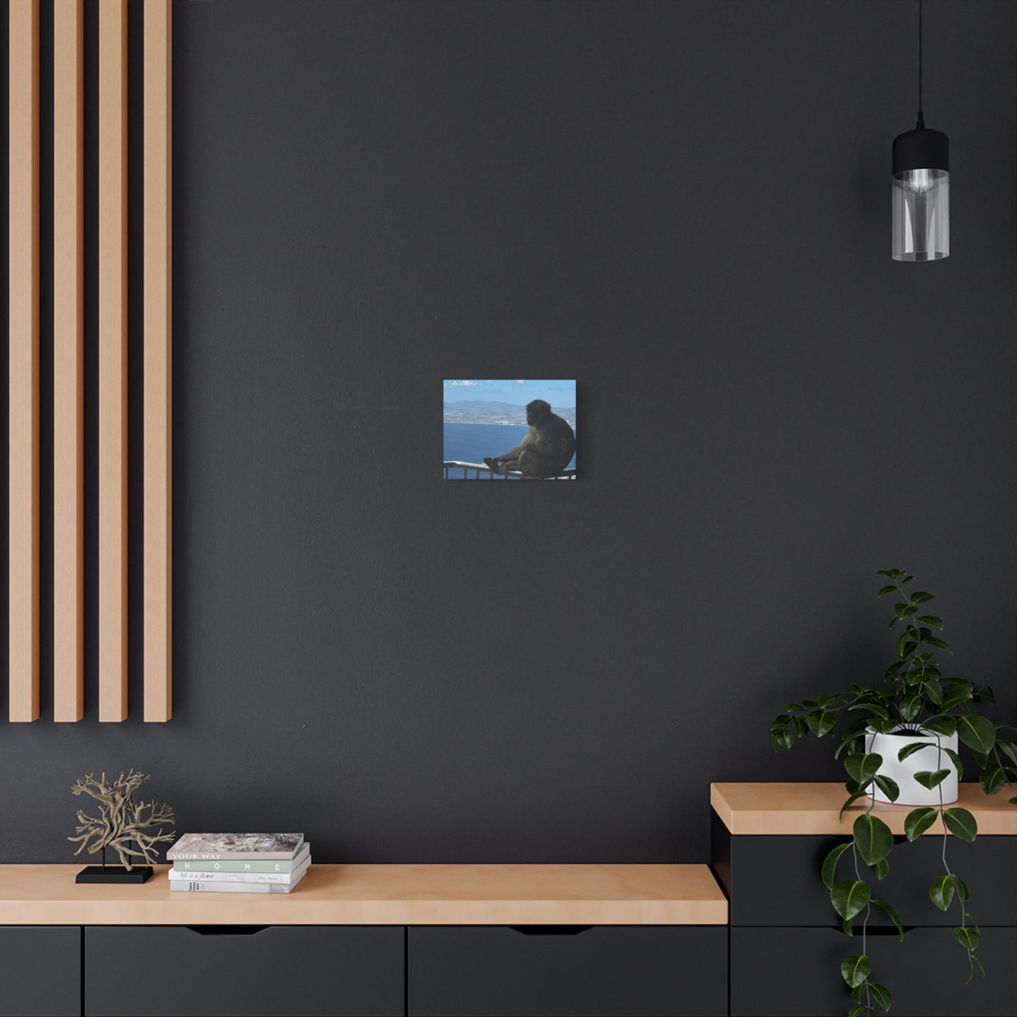 Monkey by the Sea Canvas Art - Relaxing Coastal Wall Decor Gibraltar