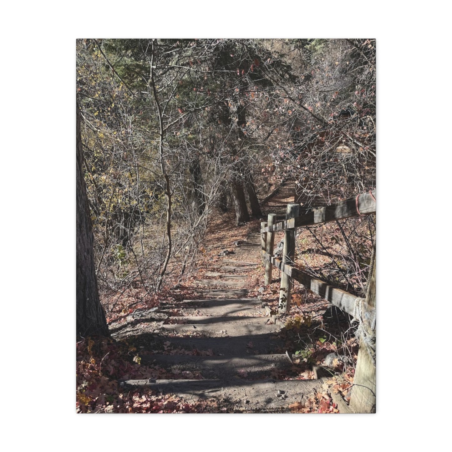 Nature Path Matte Canvas Wall Art - Tranquil Landscape Decor
