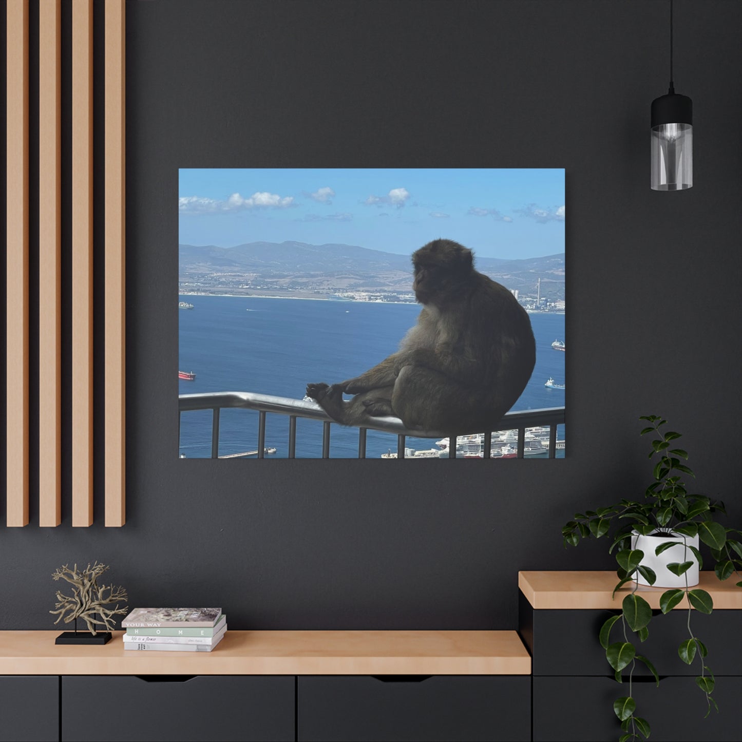 Monkey by the Sea Canvas Art - Relaxing Coastal Wall Decor Gibraltar
