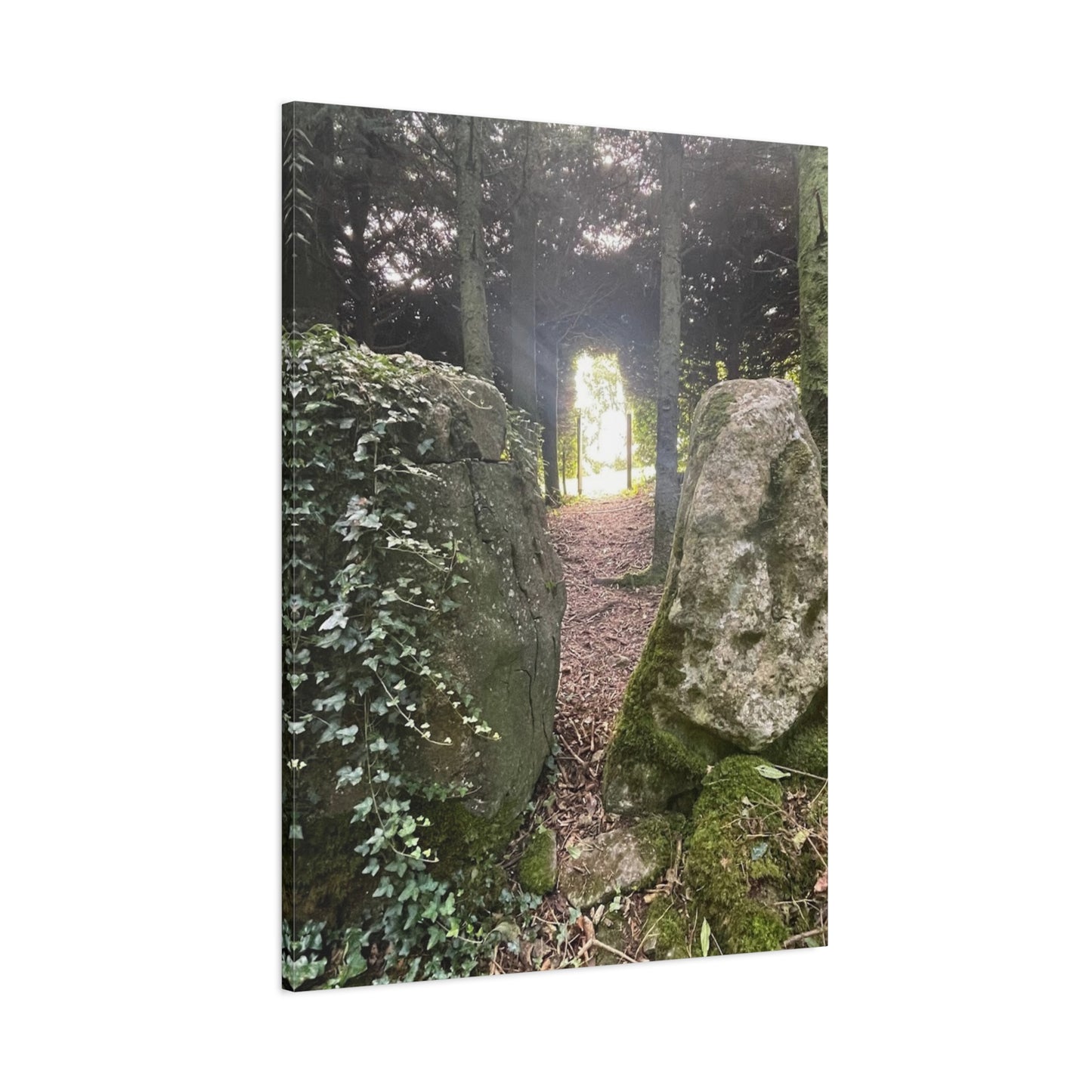 Serene Nature Wall Art Canvas – Tranquil Forest Scene for Home Decor