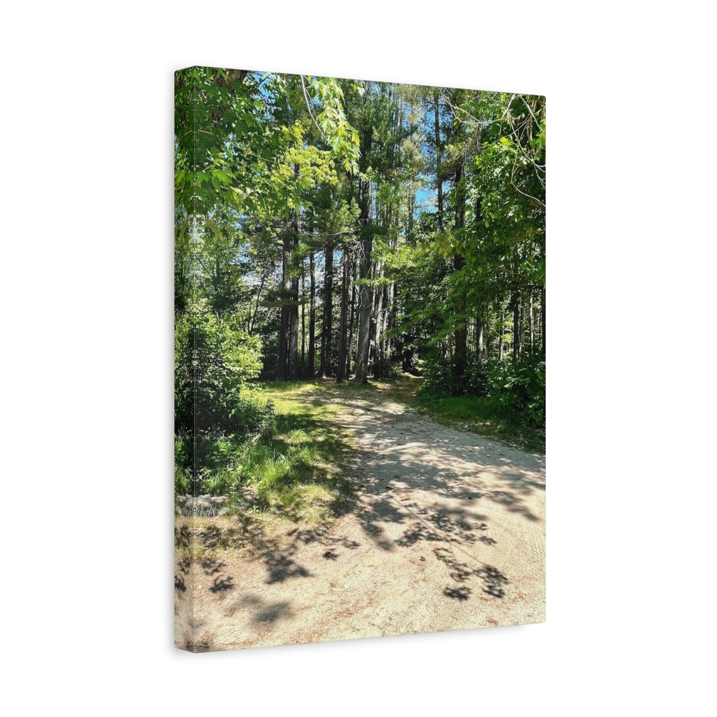 Serene Forest Path Canvas Wall Art - Tranquil Nature Decor for Home