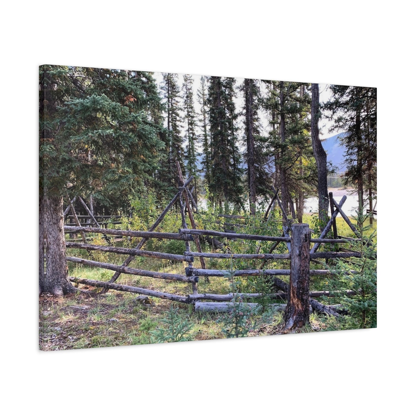 Nature-Inspired Wall Art Canvas Print - Tranquil Forest Scene