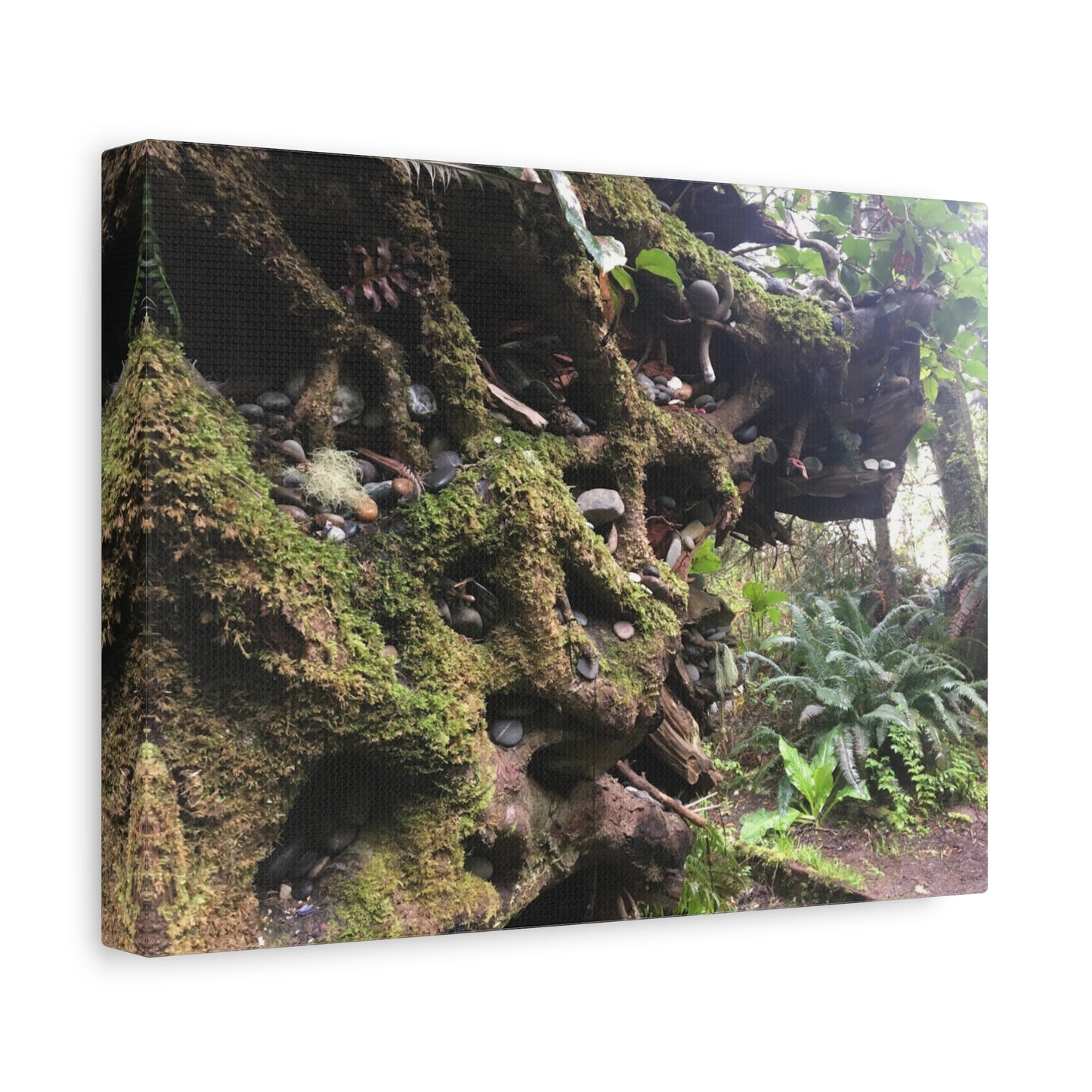 Nature-Inspired Stretched Canvas Art: Enchanted Forest Vibes