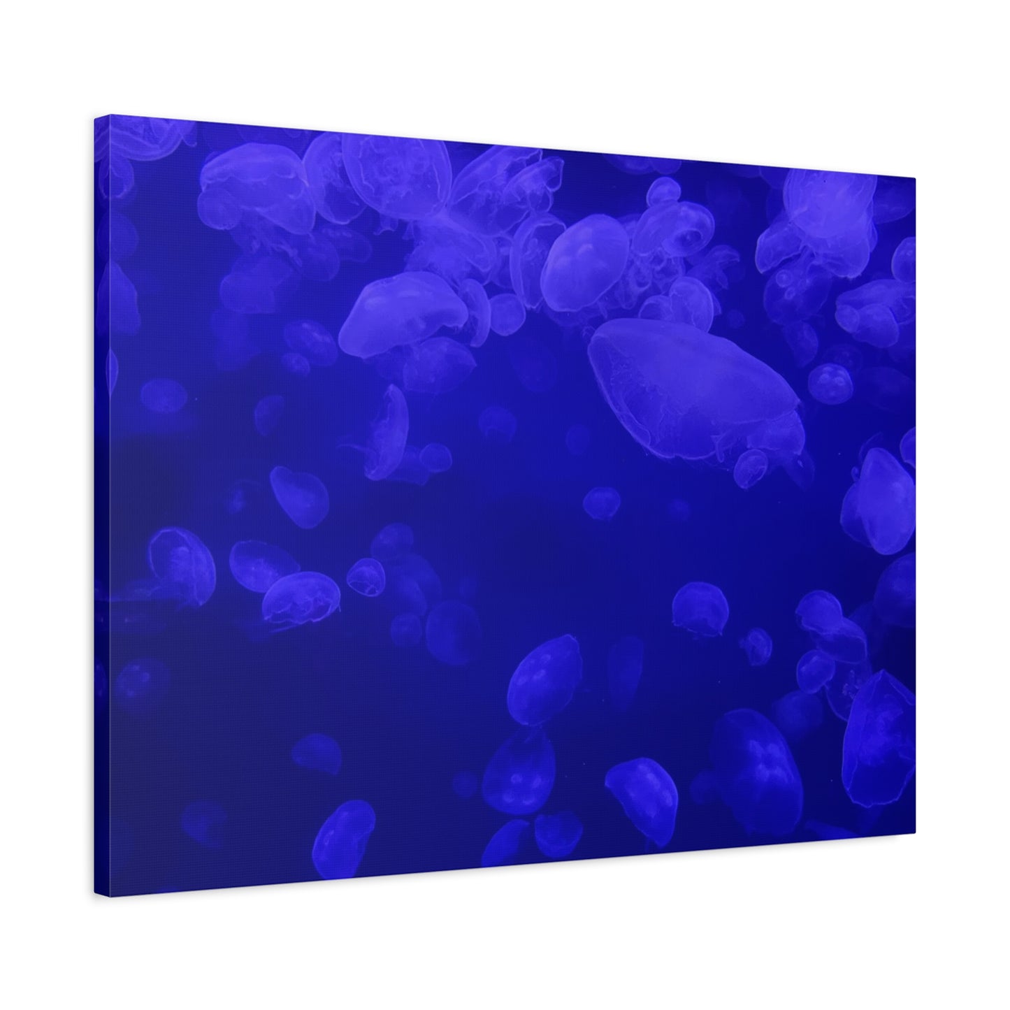 Jellyfish Watercolor Canvas Art - Ocean Theme Wall Decor