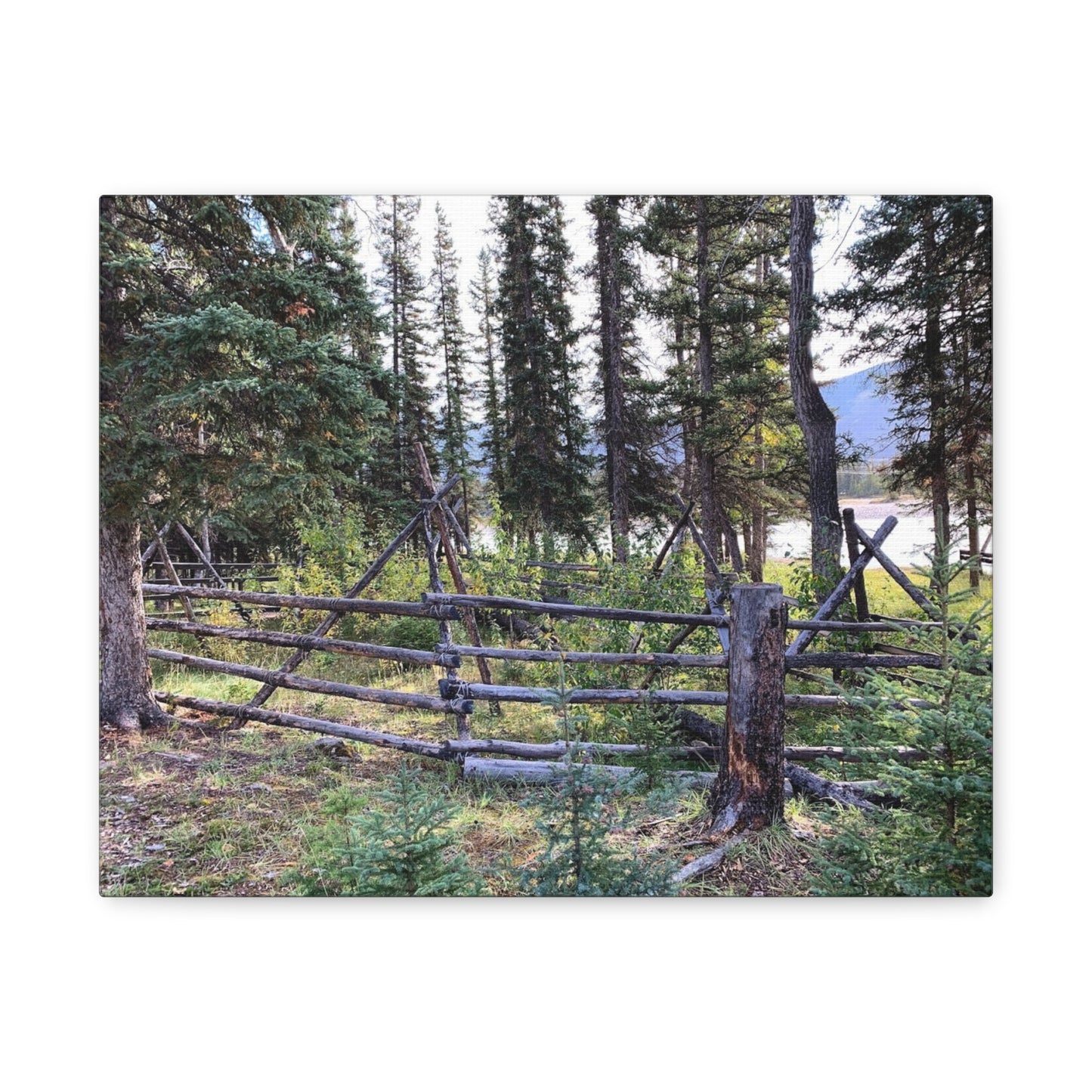 Nature-Inspired Wall Art Canvas Print - Tranquil Forest Scene