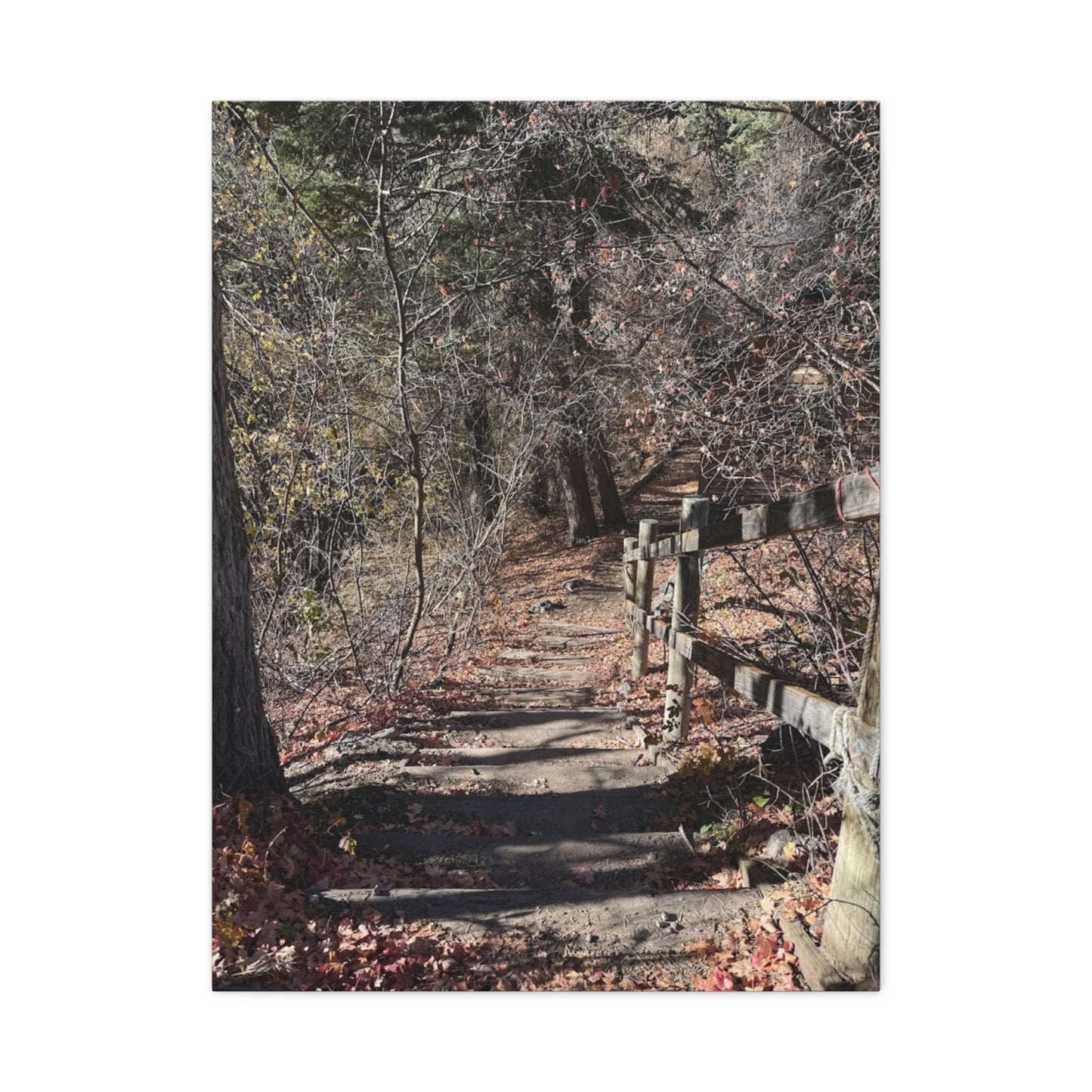 Nature Path Matte Canvas Wall Art - Tranquil Landscape Decor