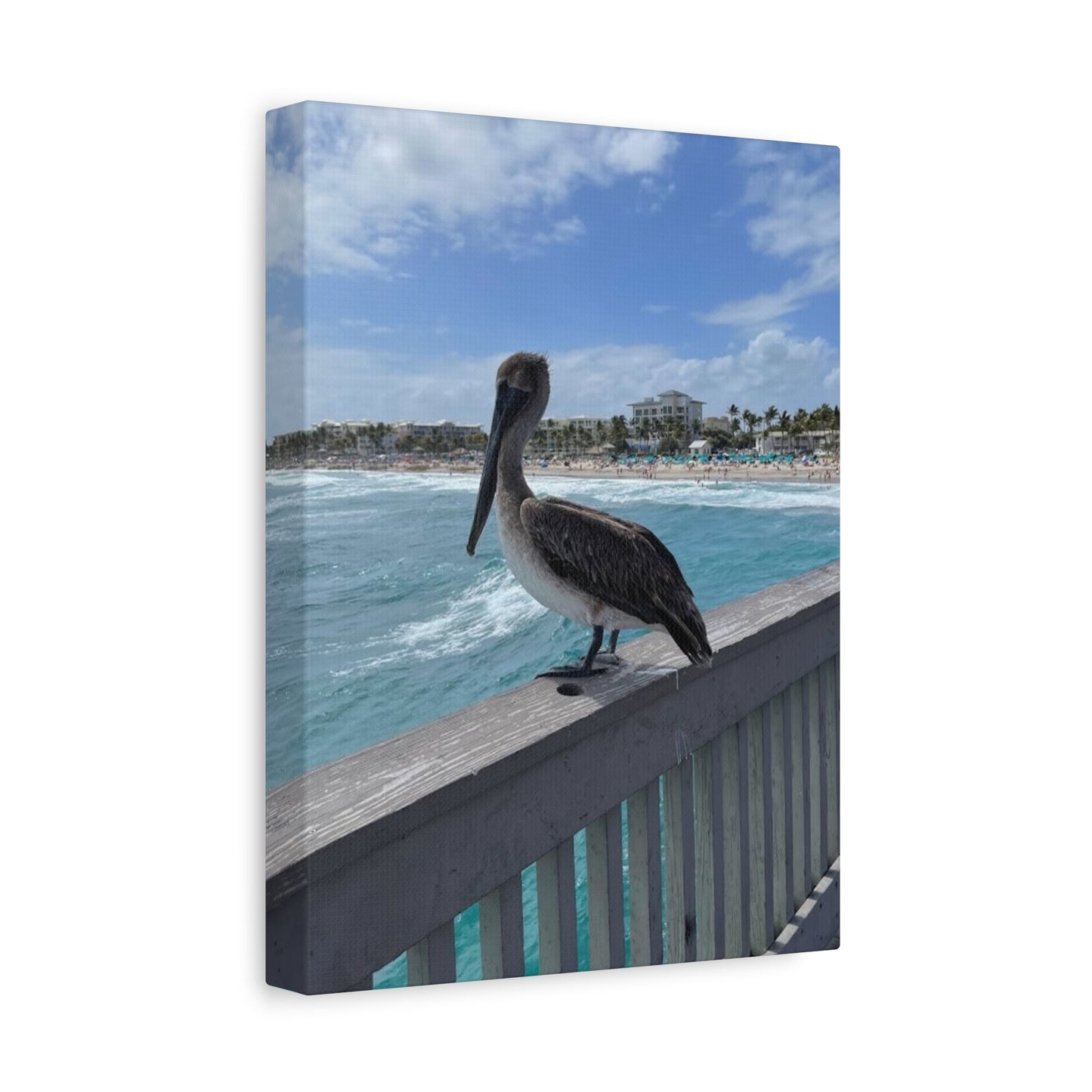 Coastal Serenity Pelican Canvas Print - 1.25" Stretched Wall Art