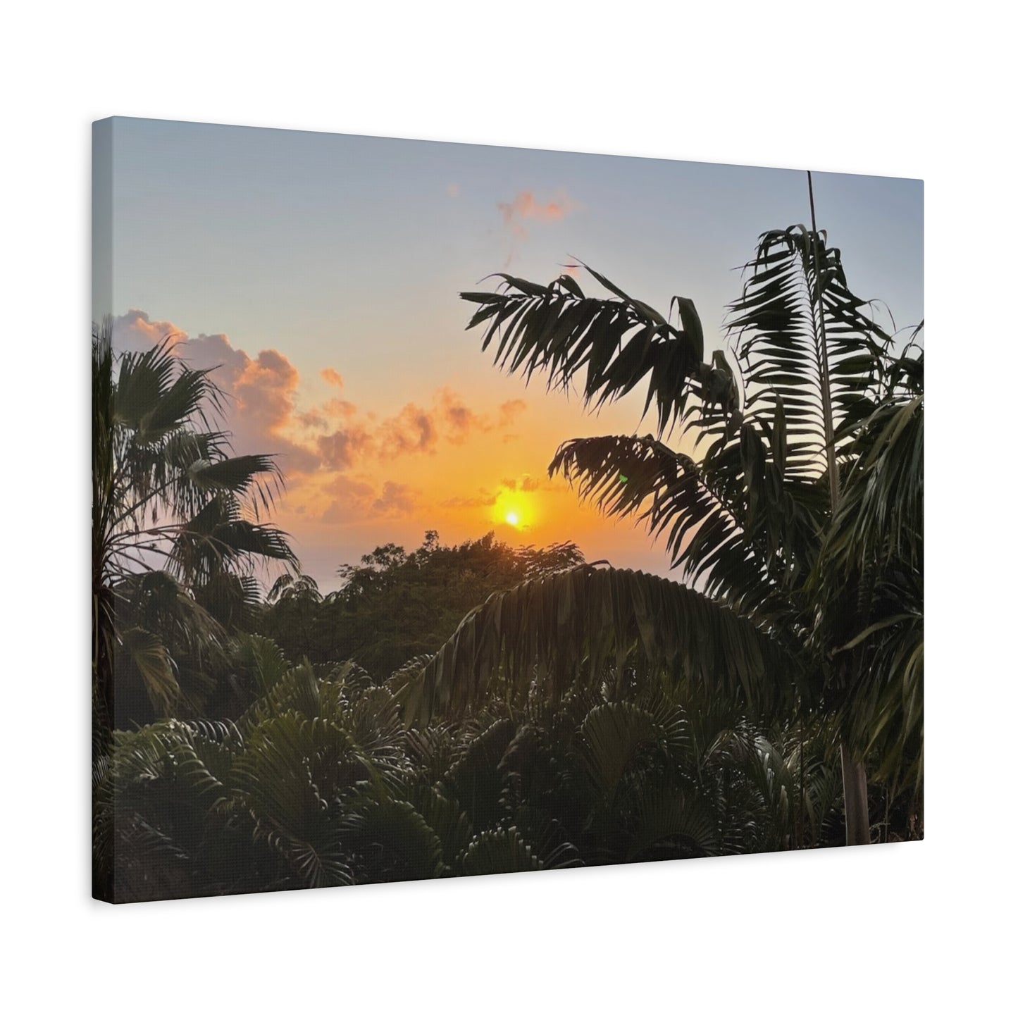 Tropical Sunset Matte Canvas - 12x16 Stretched Wall Art