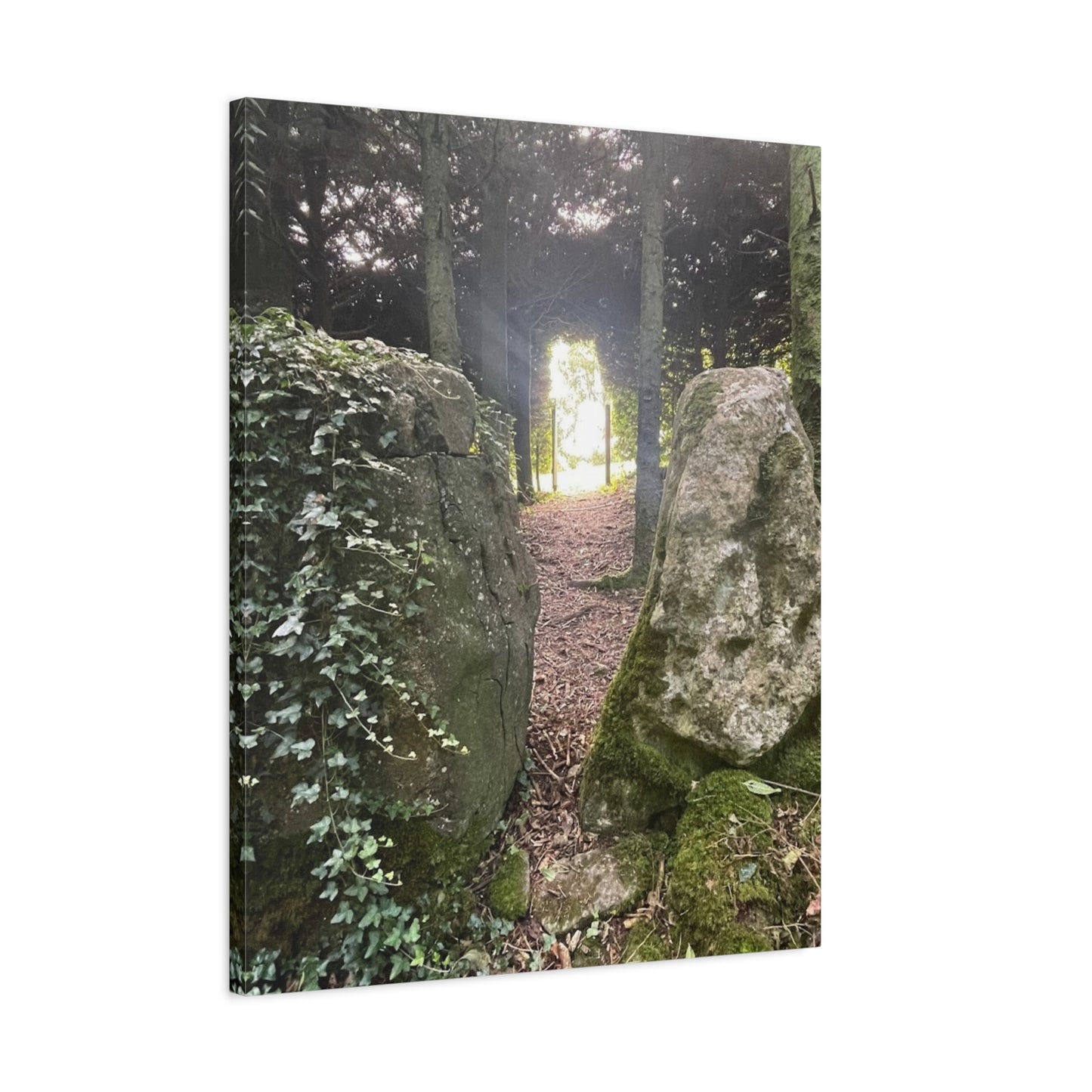 Serene Nature Wall Art Canvas – Tranquil Forest Scene for Home Decor