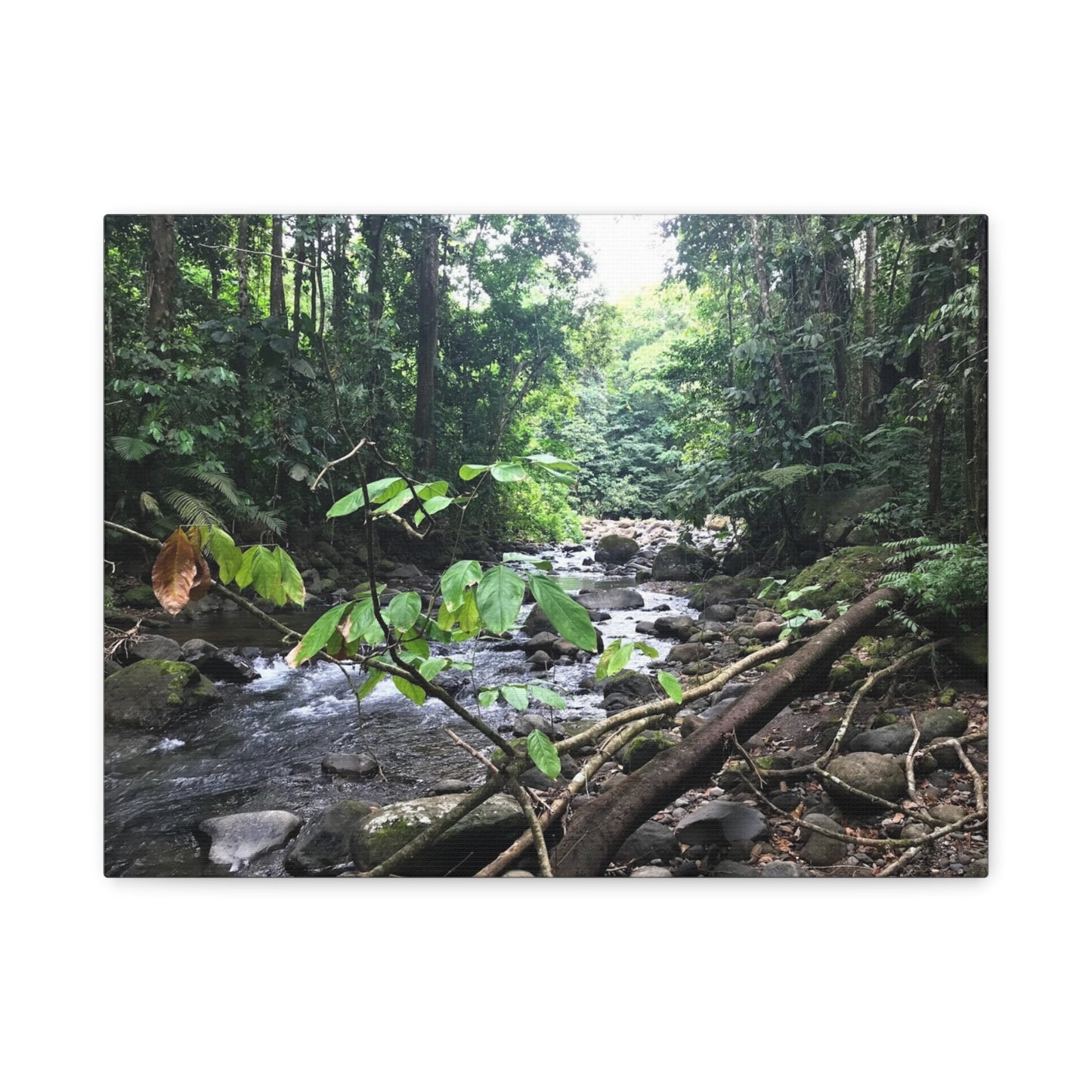 Nature-Inspired Matte Canvas Wall Art - Serene River Scene