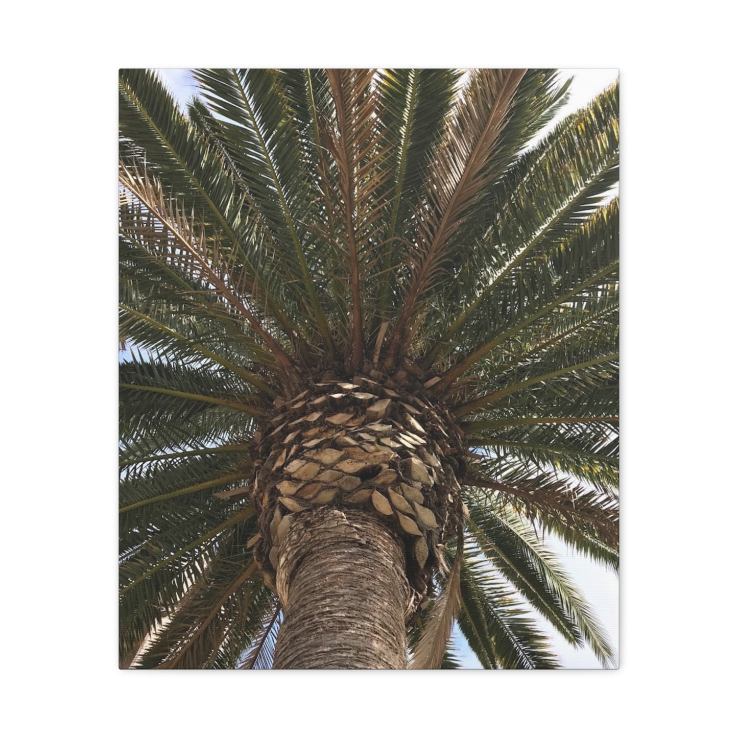 Tropical Palm Tree Canvas Art - Stretched Wall Decor for Home or Office