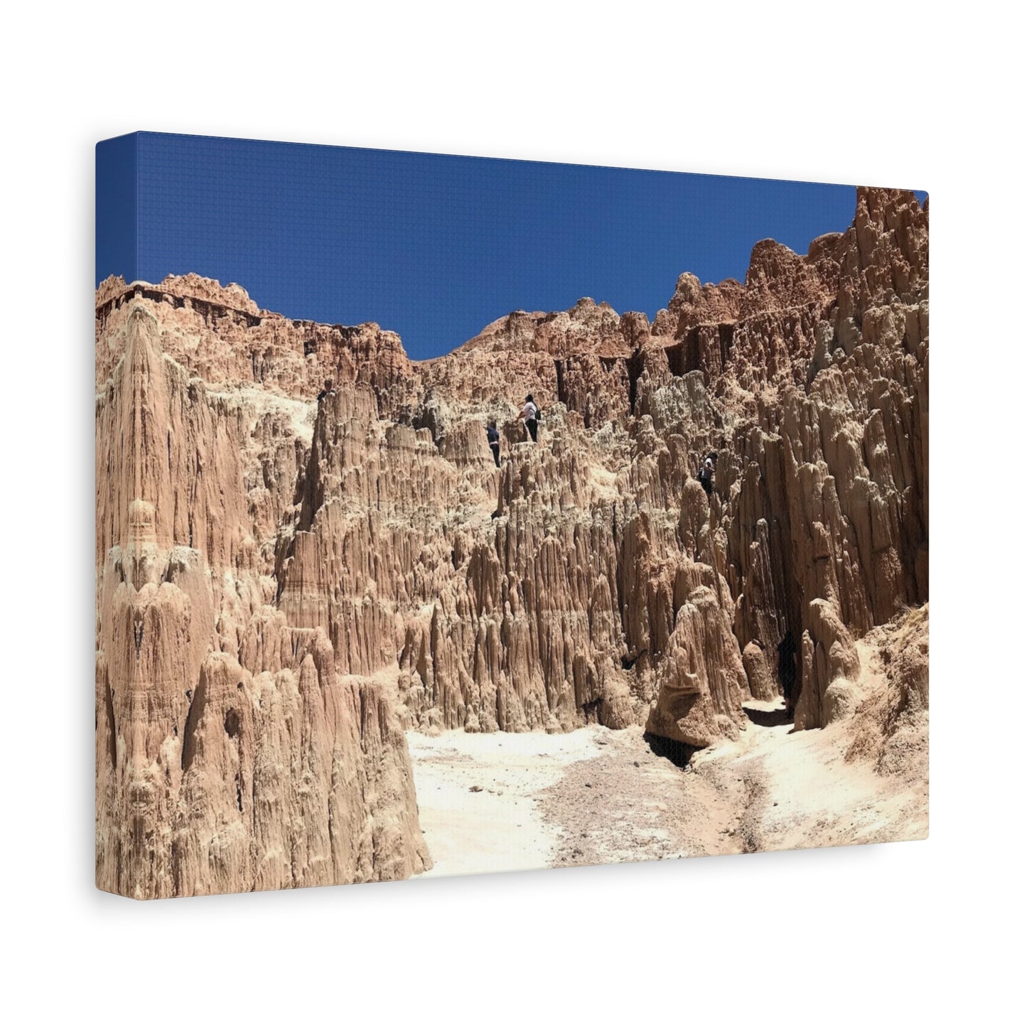 Desert Landscape Canvas Wall Art - Stretched Matte Print