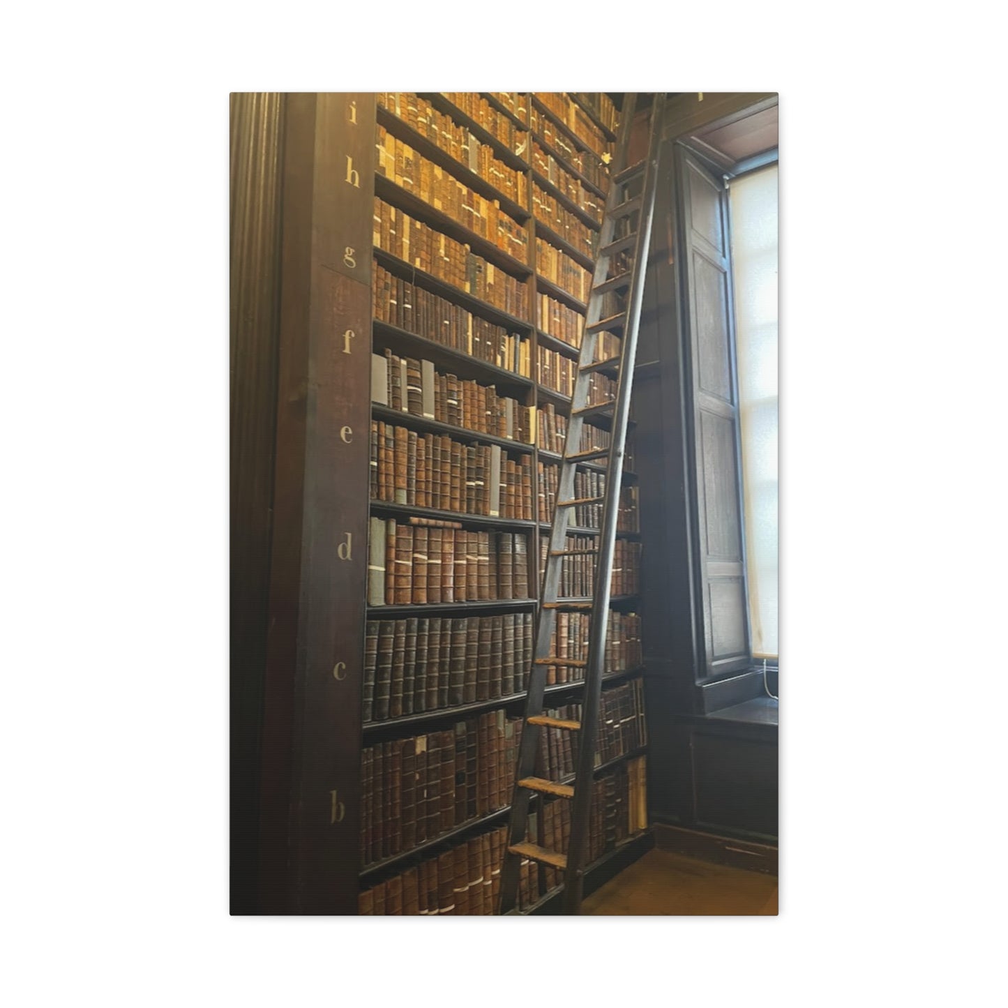 Library Wall Art | Vintage Bookcase Canvas Print - Trinity College Long Room