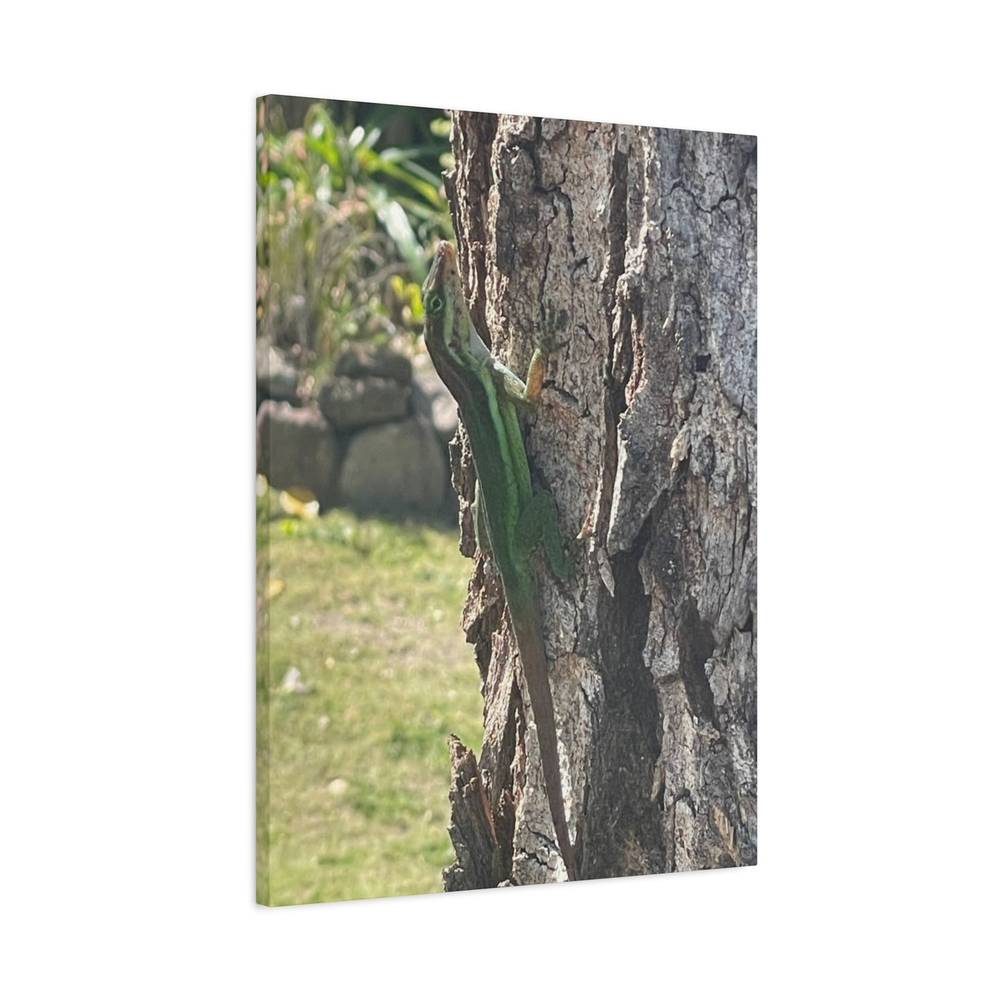 Nature-Inspired Stretched Canvas Art featuring Green Lizard on Tree