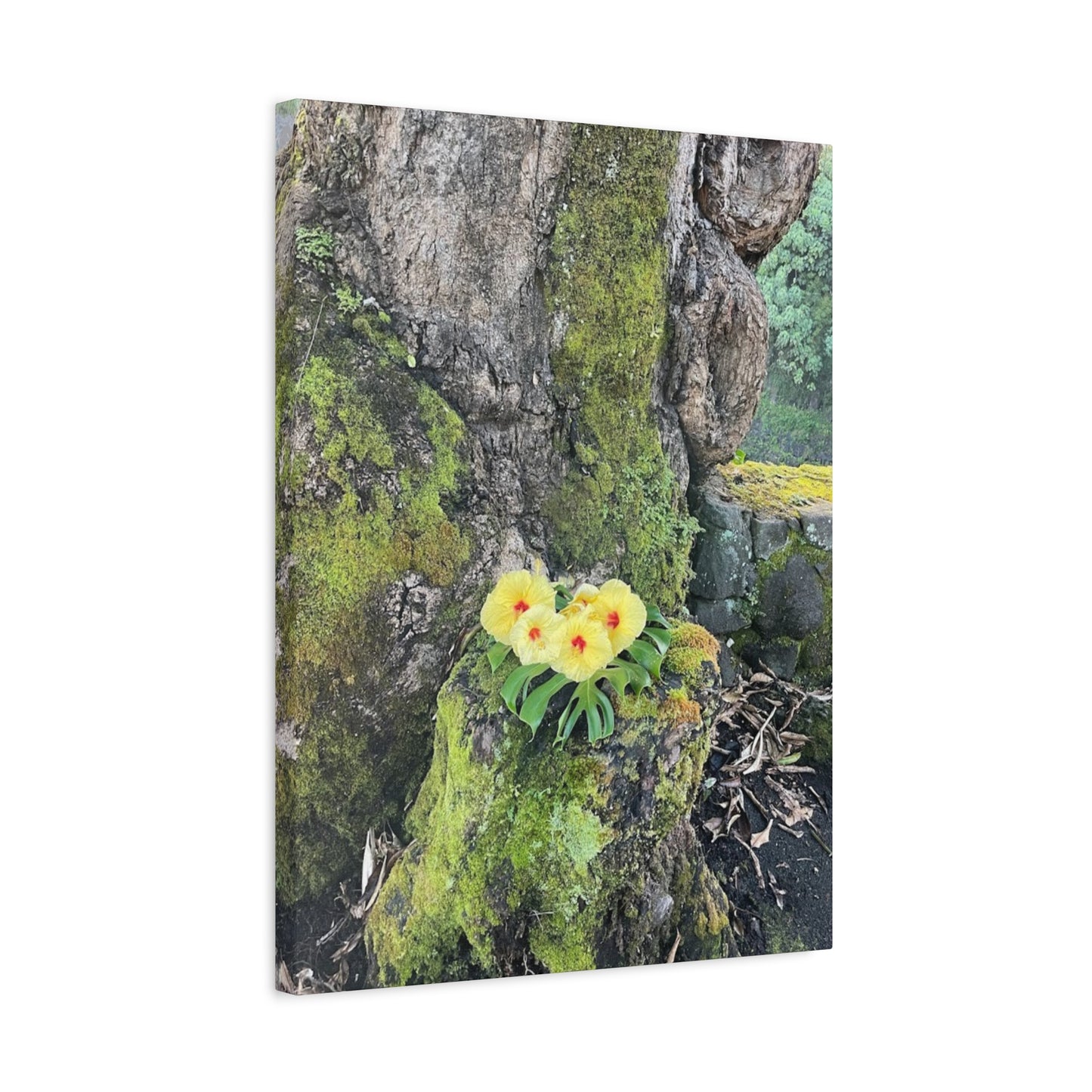 Floral Matte Canvas Art - Yellow Orchid and Moss Decor