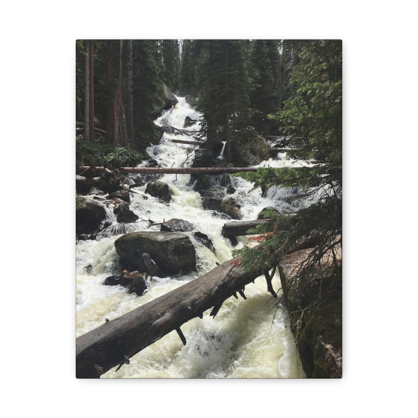 Nature Waterfall Canvas Art - Stretched Matte Wall Decor