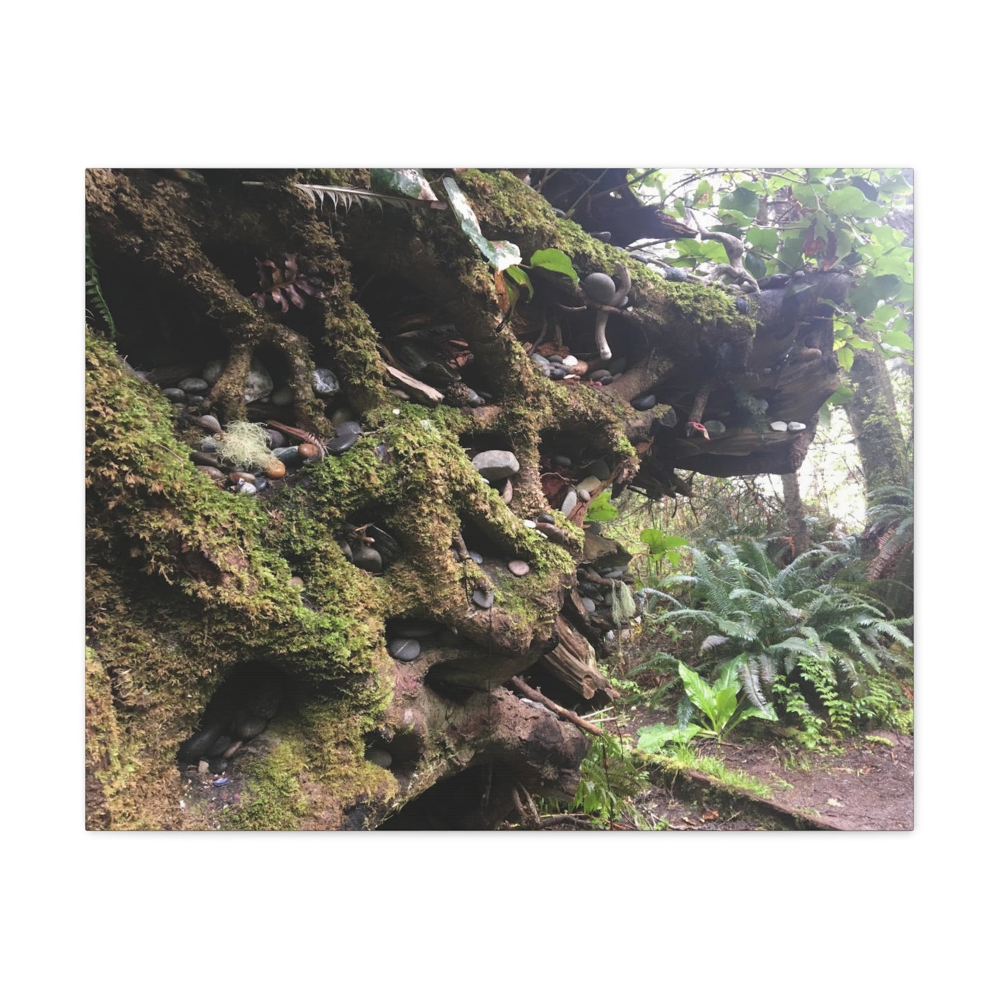 Nature-Inspired Stretched Canvas Art: Enchanted Forest Vibes
