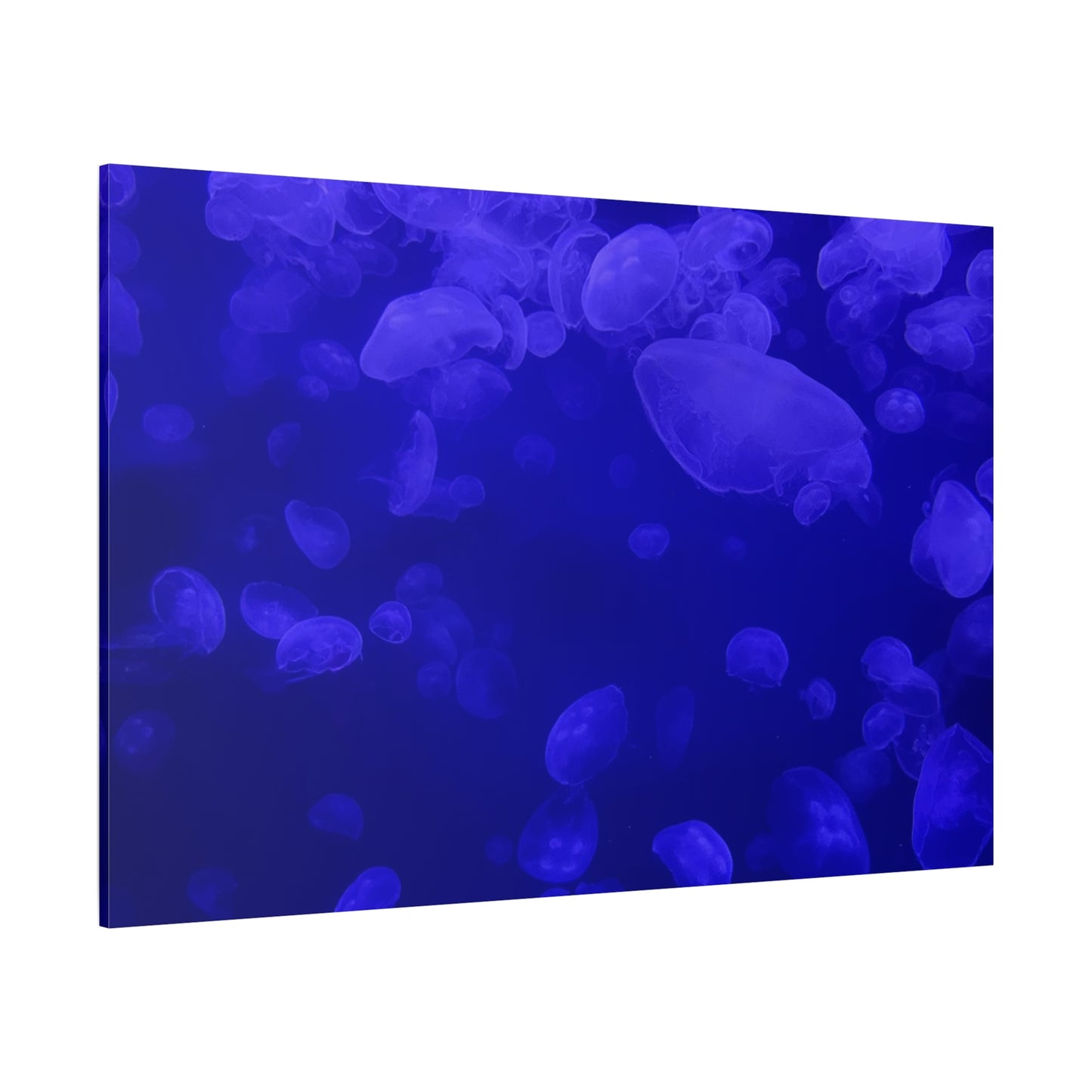 Jellyfish Watercolor Canvas Art - Ocean Theme Wall Decor