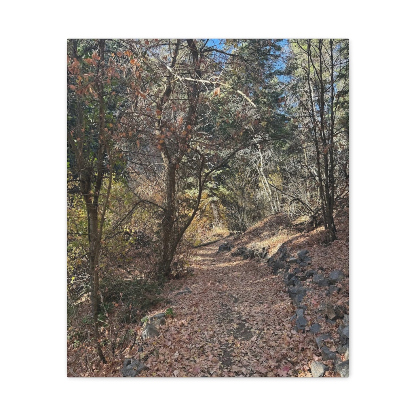 Nature-Inspired Matte Canvas Art - Stretched Wall Decor