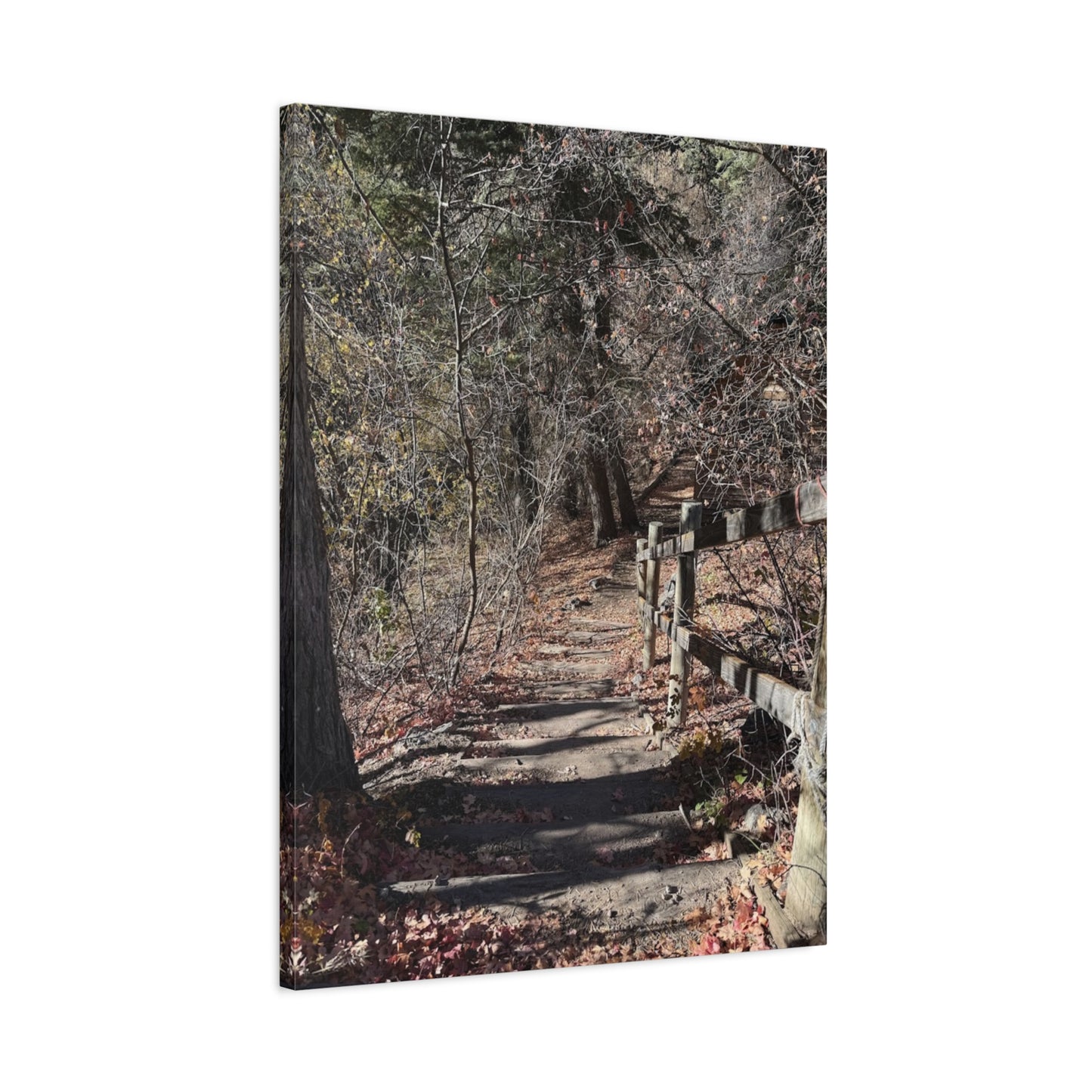 Nature Path Matte Canvas Wall Art - Tranquil Landscape Decor