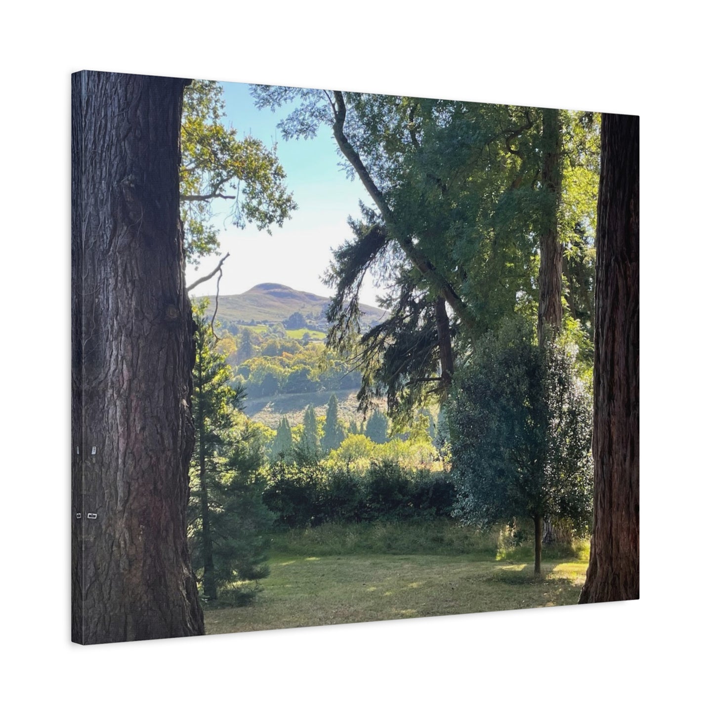 Nature-Inspired Matte Canvas Wall Art - Scenic Landscape Decor