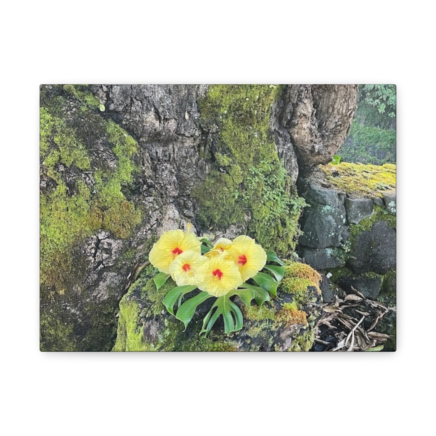 Floral Matte Canvas Art - Yellow Orchid and Moss Decor